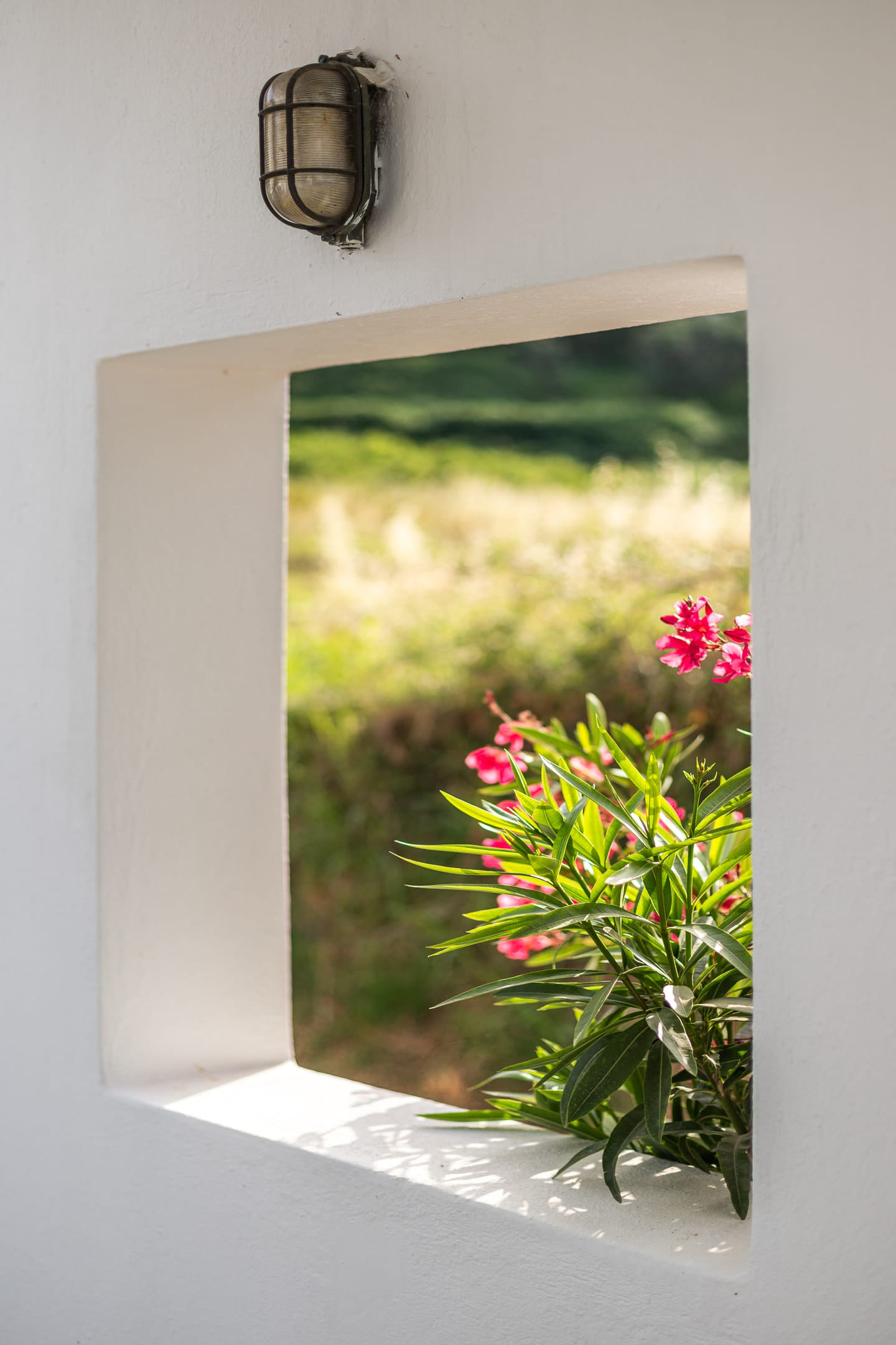 Aeolos Hotel & Villas - Pelion