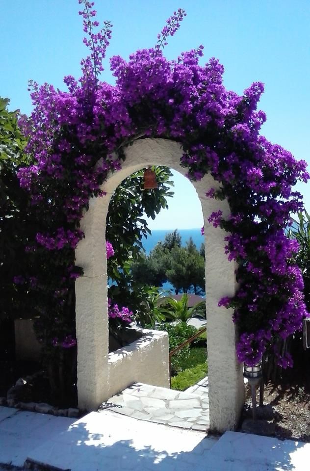 Milia Bay Hotel & Apartments Alonissos