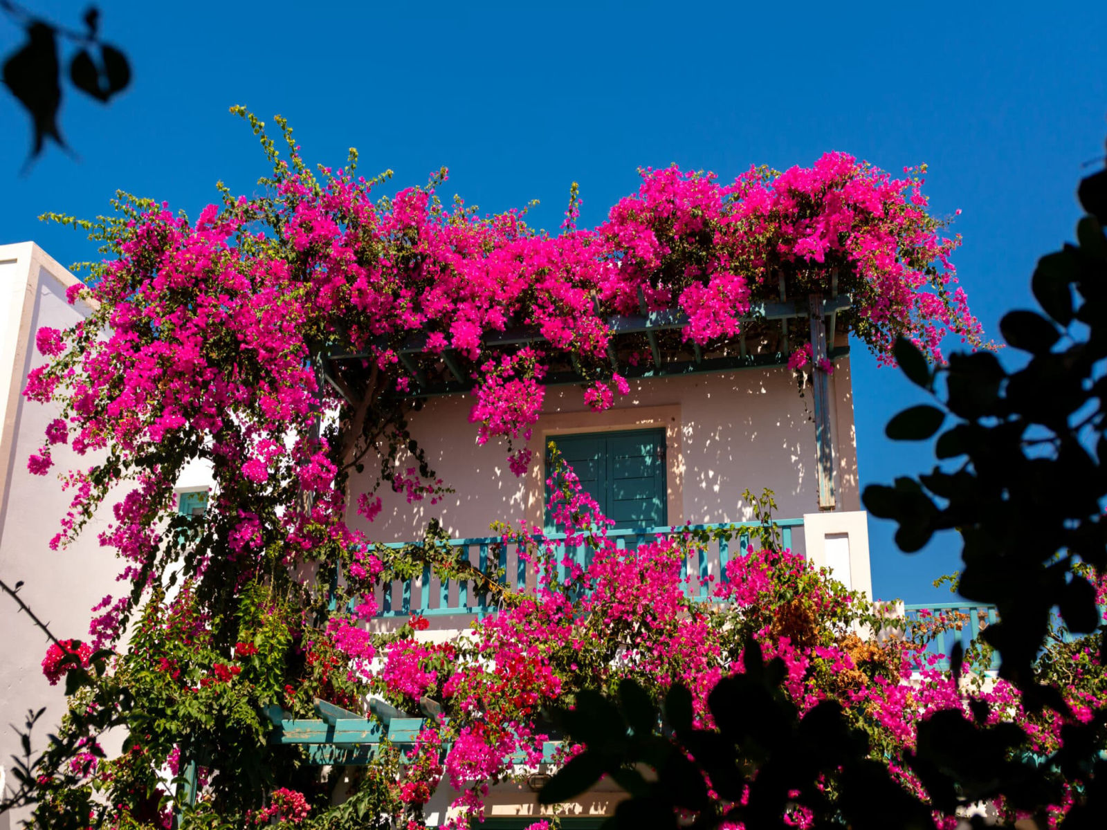 Andreas Hotel Santorini