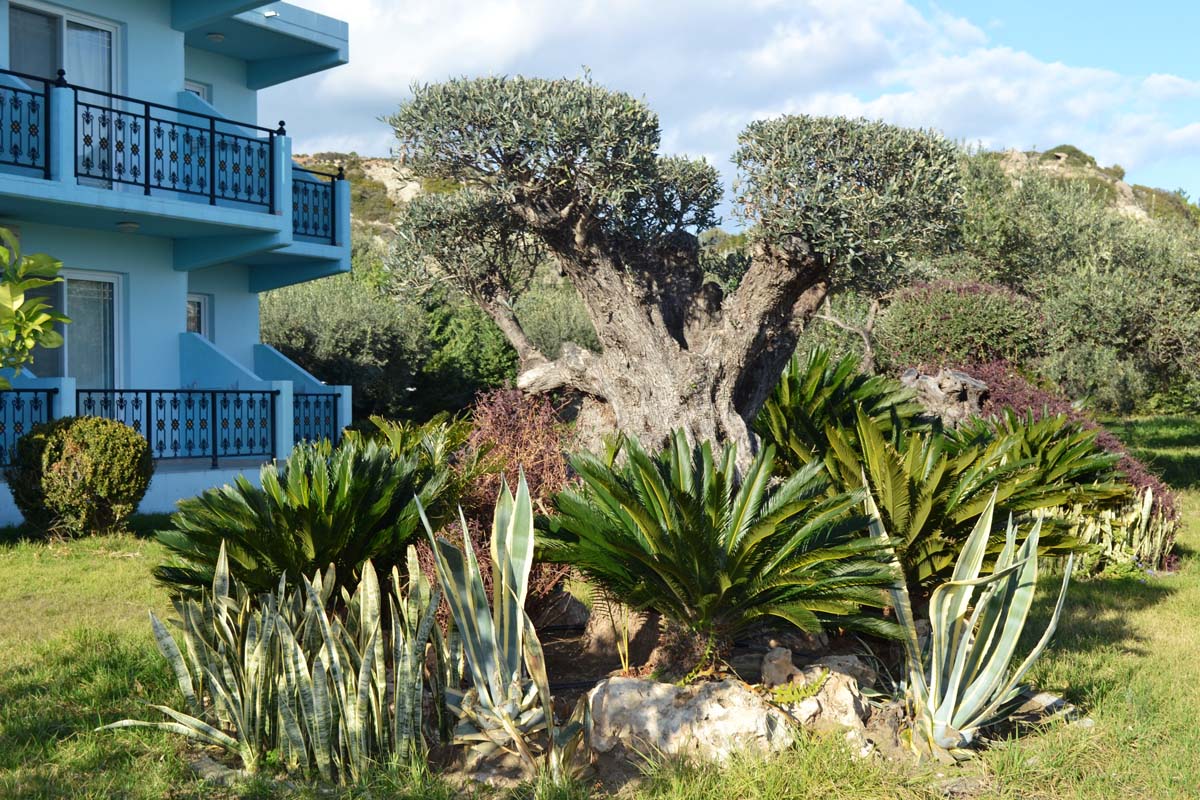 Argiro Village Hotel