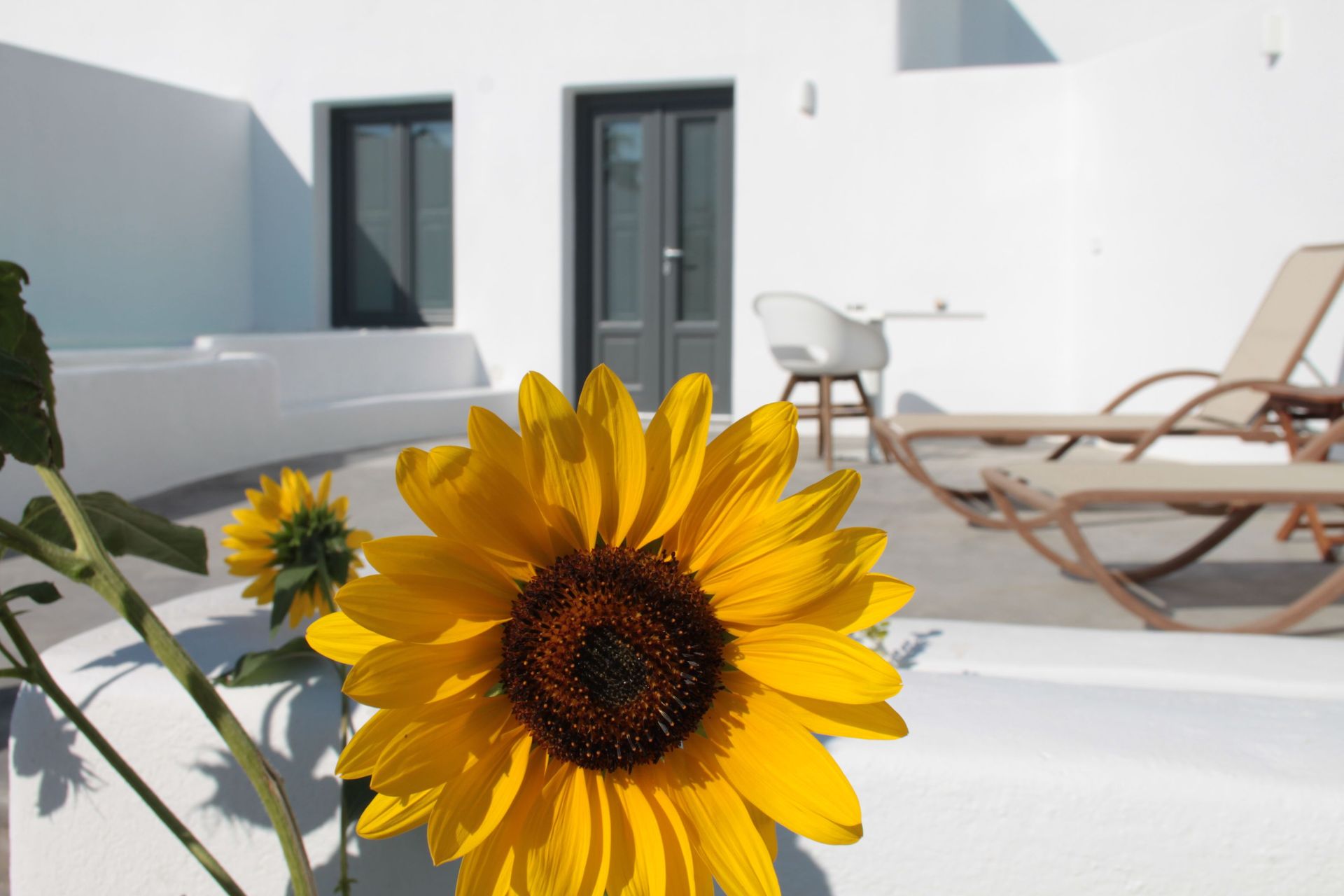 Standard suite with jetted Pool