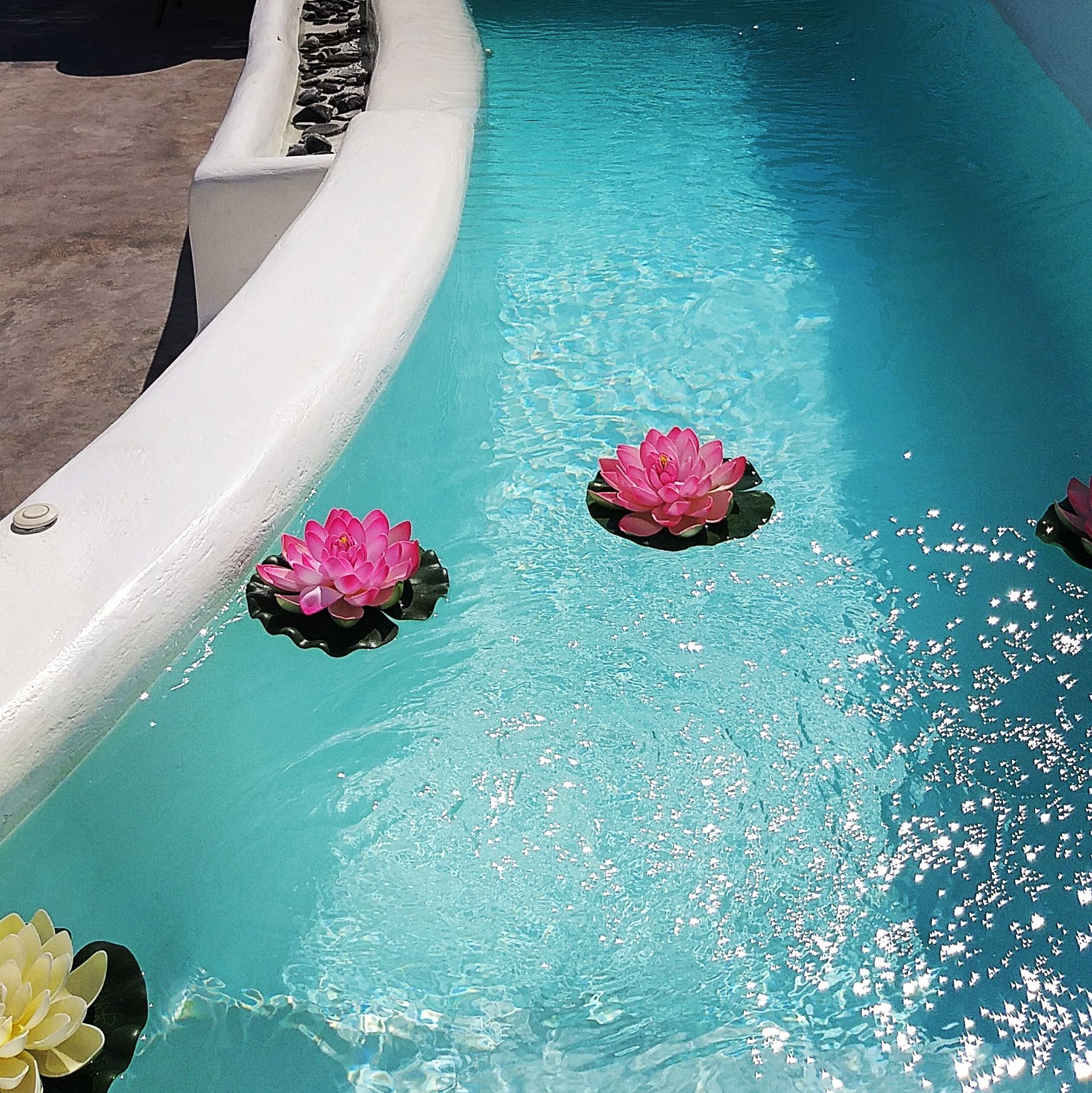 Standard suite with jetted Pool