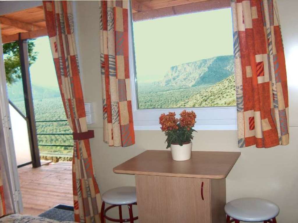 Economy Double or Twin Mobile Room