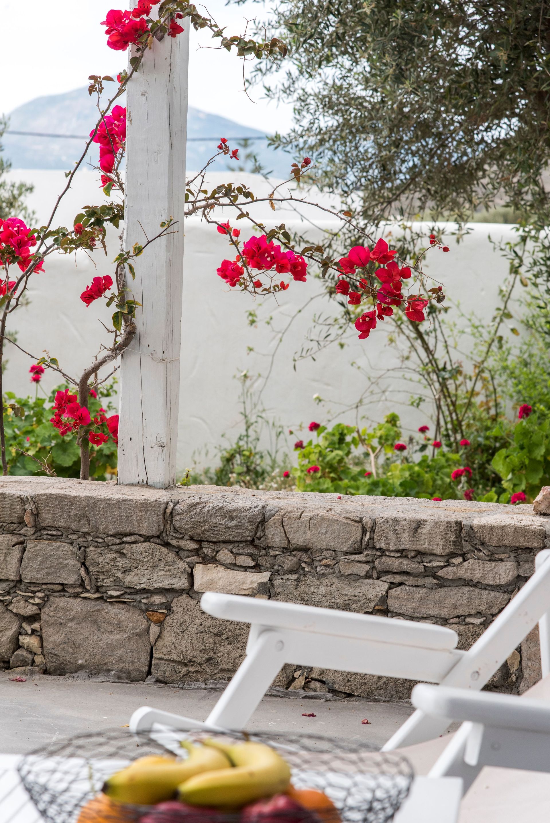 Executive Suite with Private Pool/Jacuzzi 