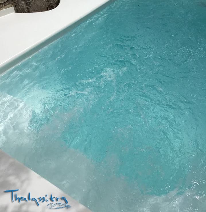 Executive Suite with Private Pool/Jacuzzi 