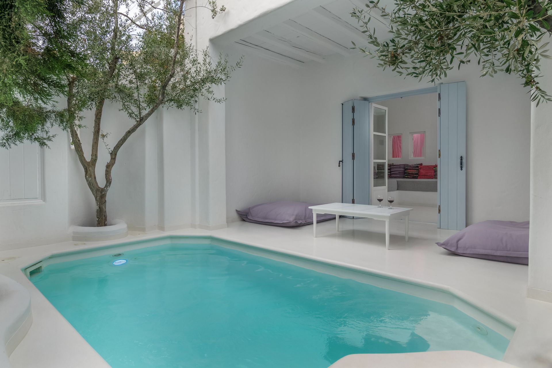 Executive Suite with Private Pool/Jacuzzi 