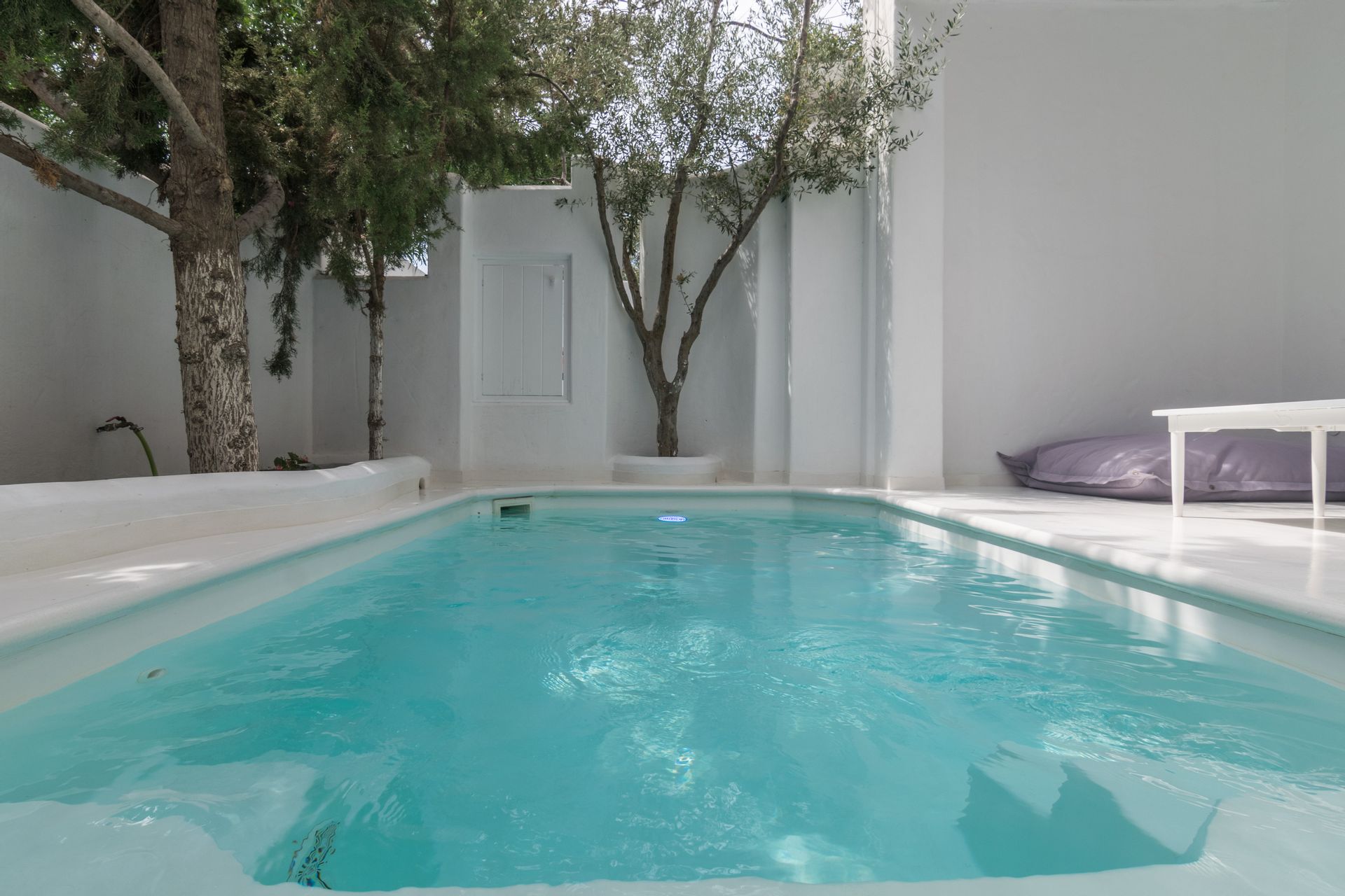 Executive Suite with Private Pool/Jacuzzi 