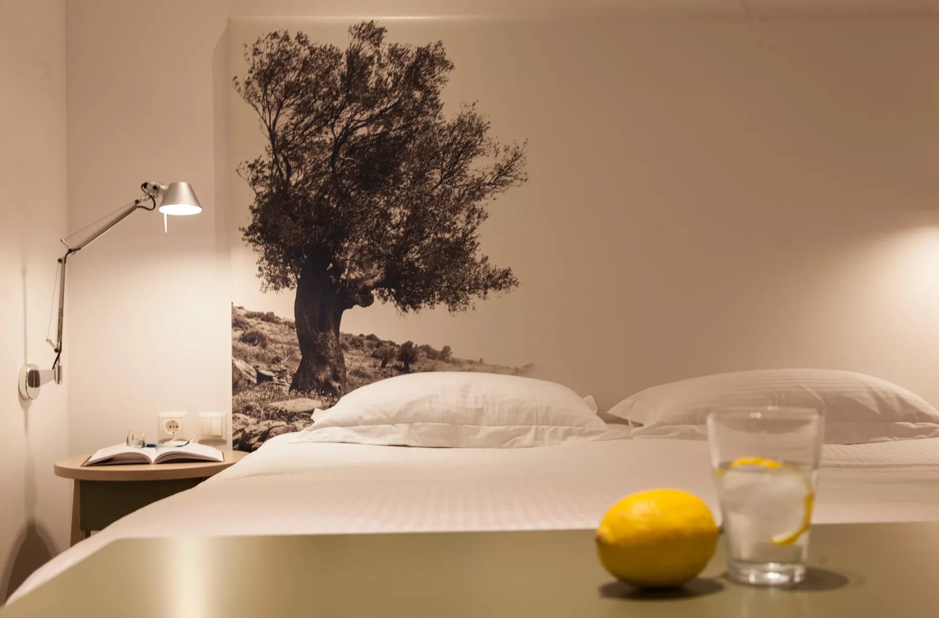 Deluxe Coco-Mat  Double Room