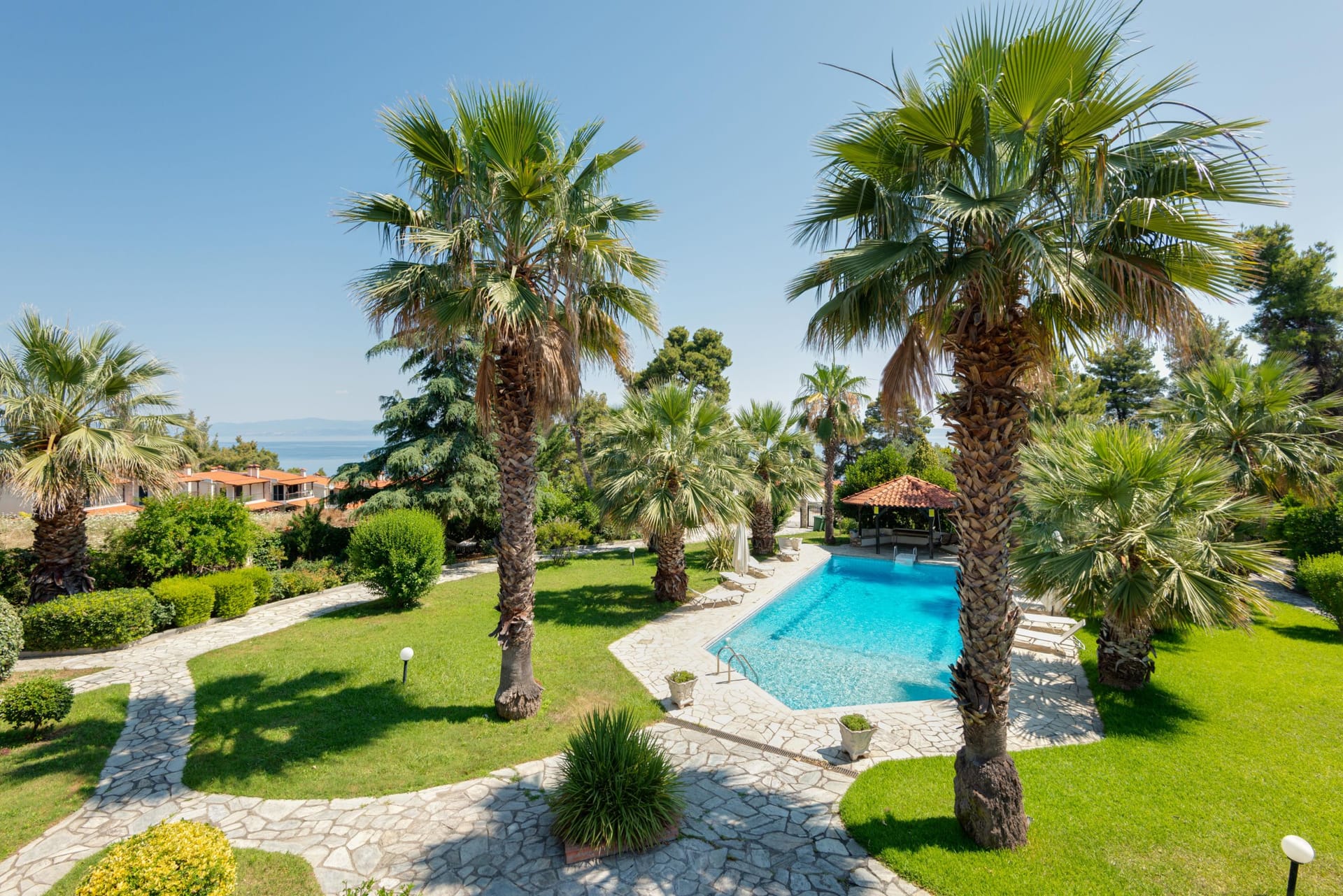 Pineapple-Pool Apartment III Kriopigi