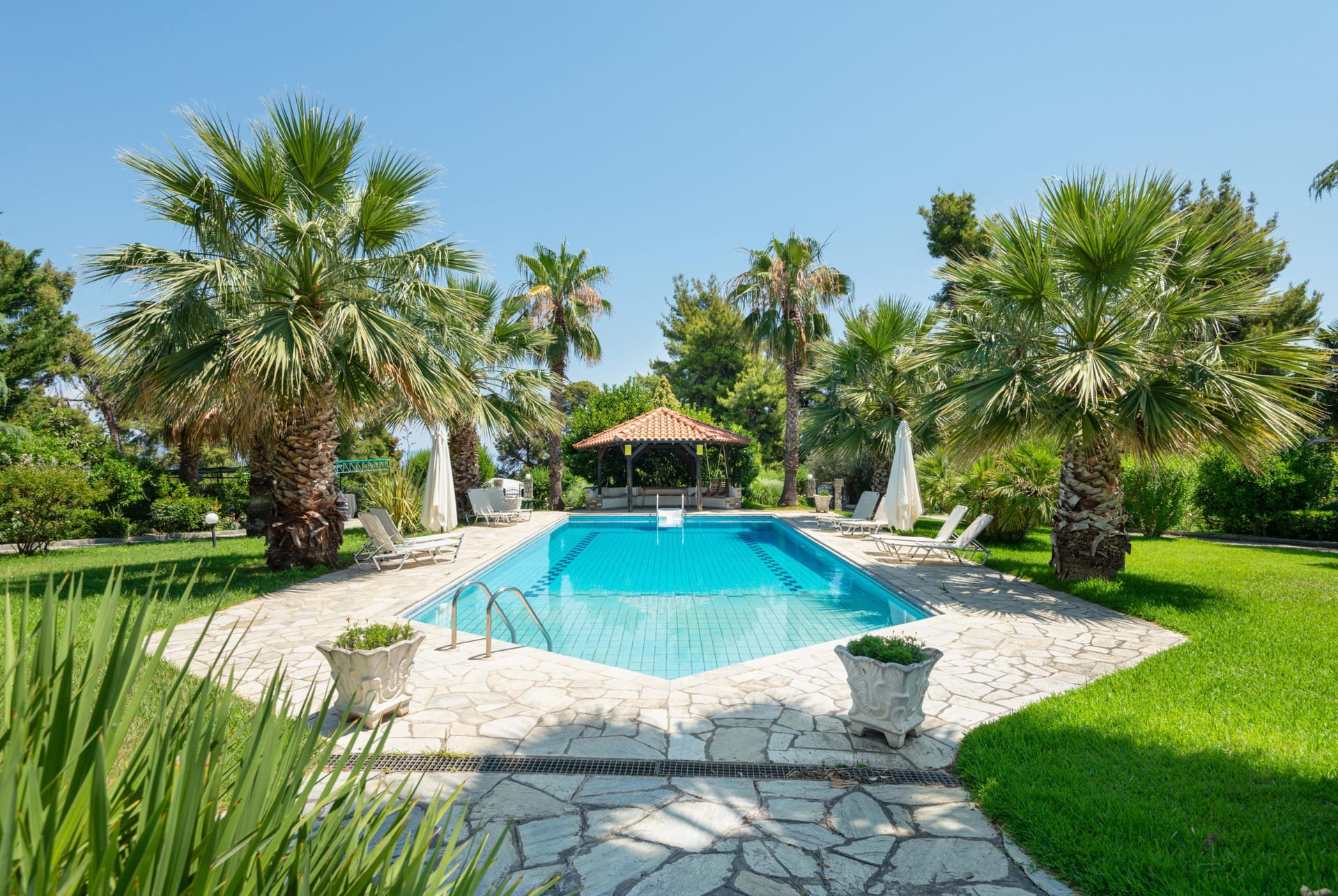Pineapple-Pool Apartment III Kriopigi