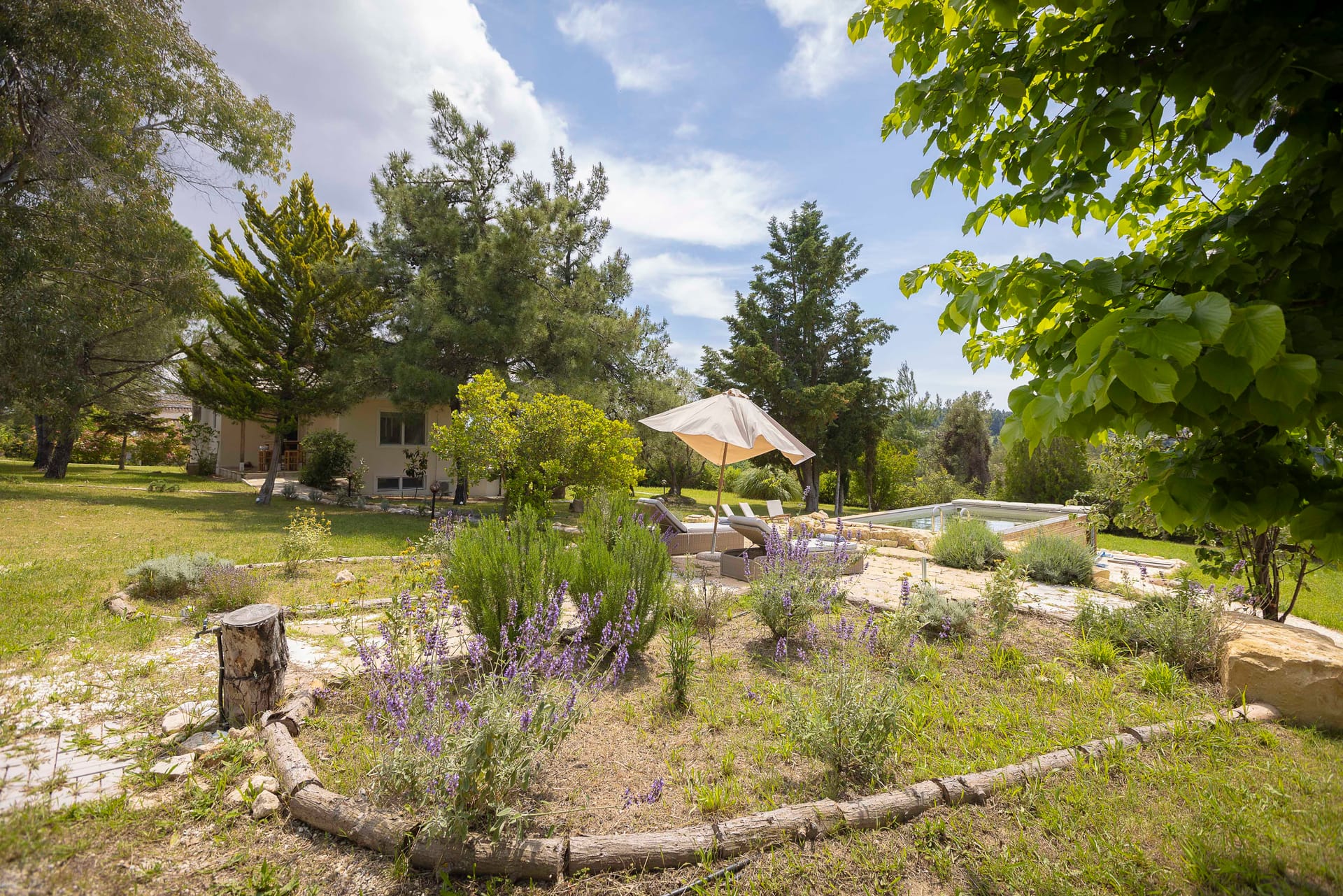Olea Pool Villa -Elani