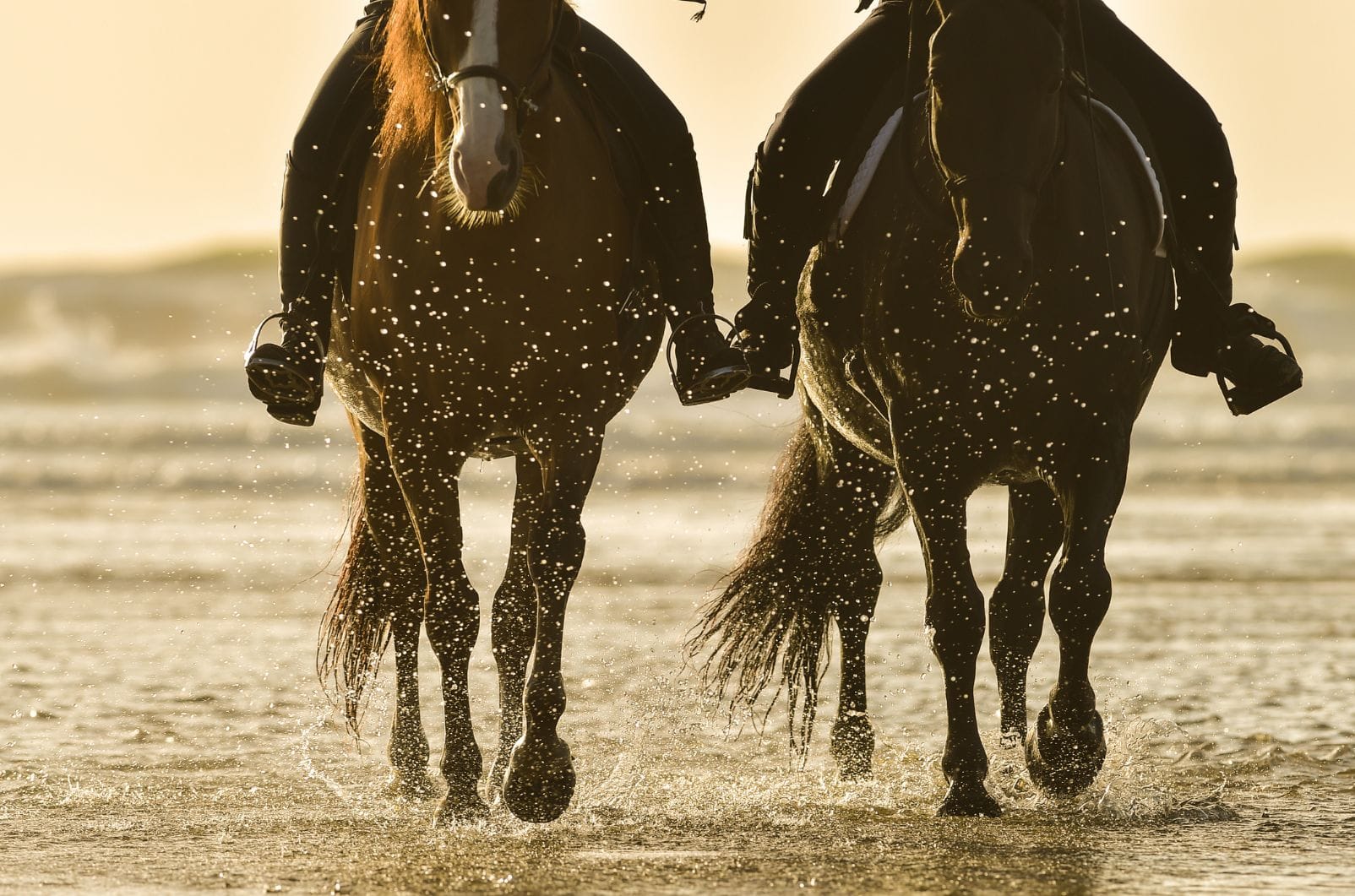 Flora's House in Aggidia Village!