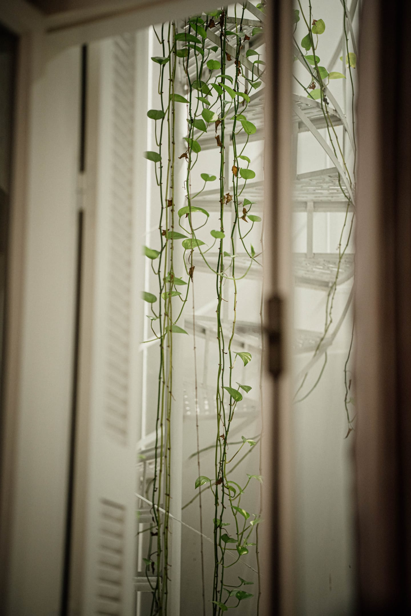 Petite Double Room  (Interior Corridor)