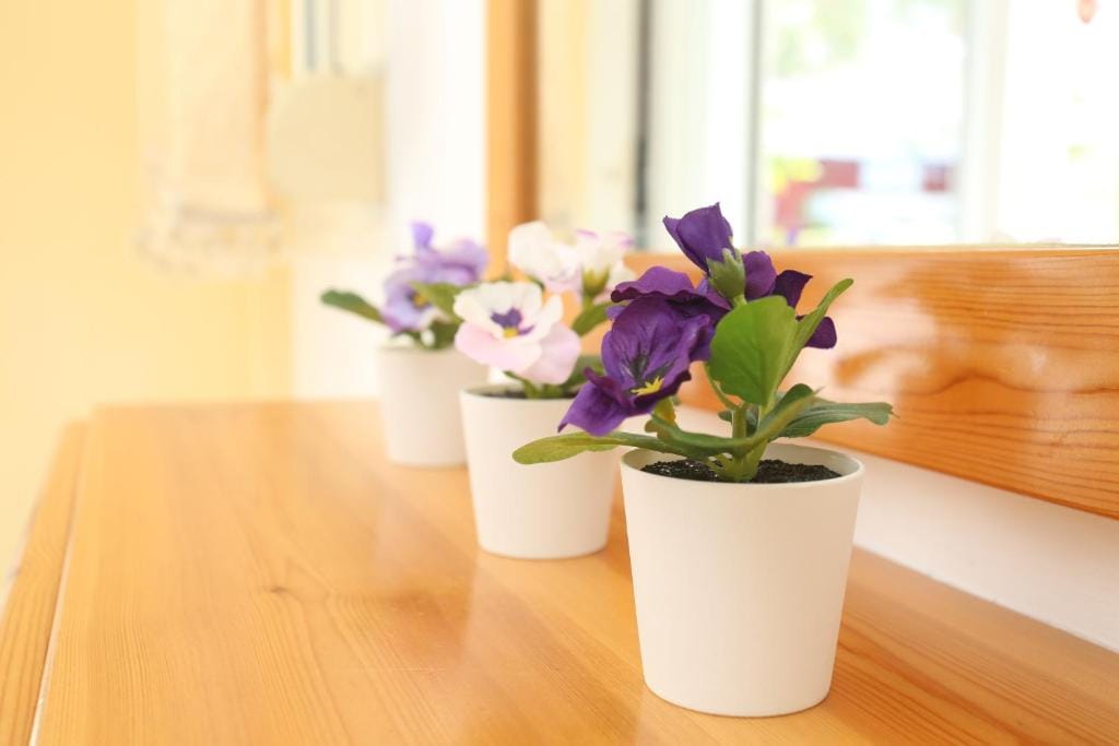 Maria Standard Triple Studio