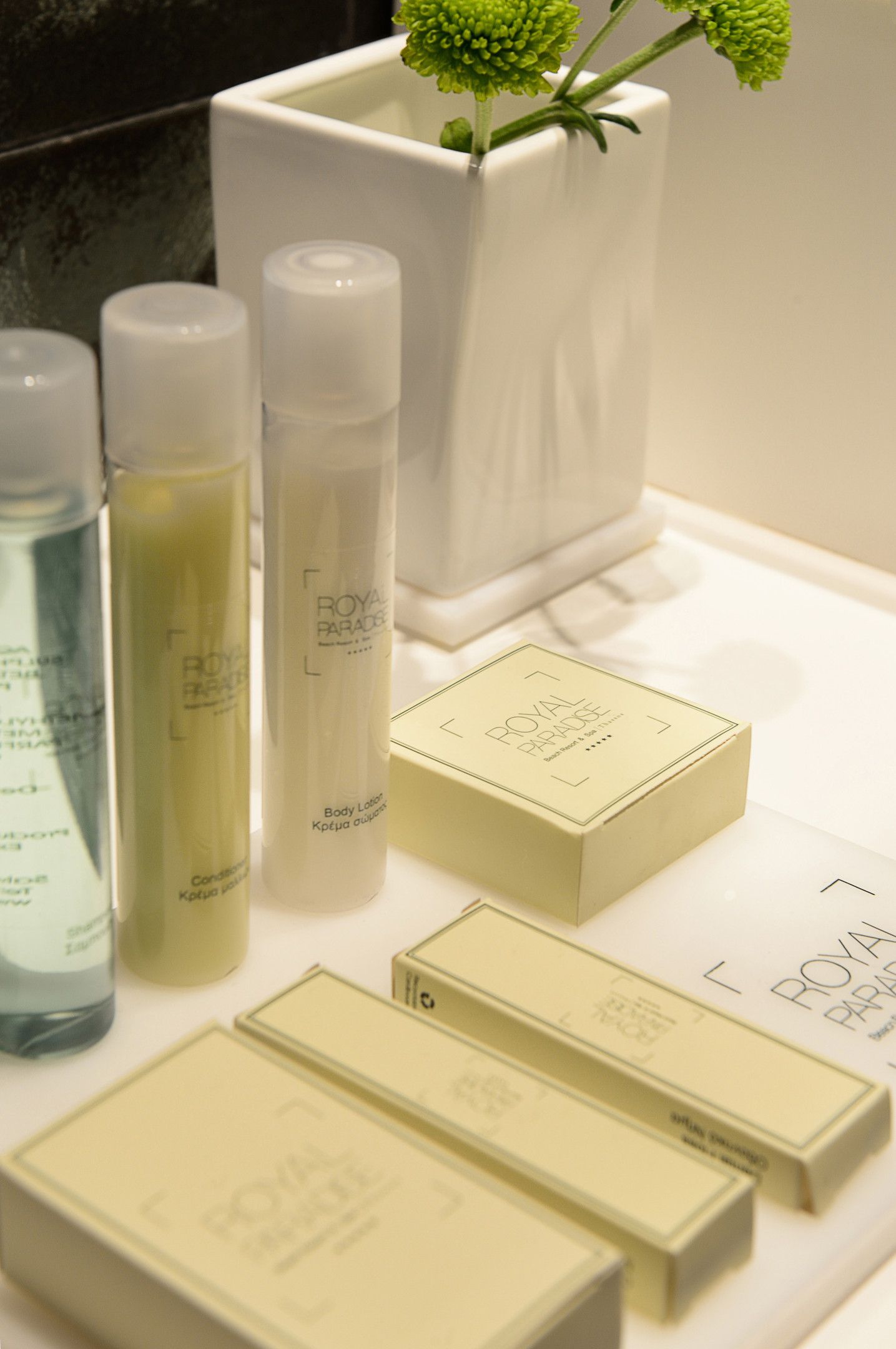 Executive Room with Sea View and Terrace