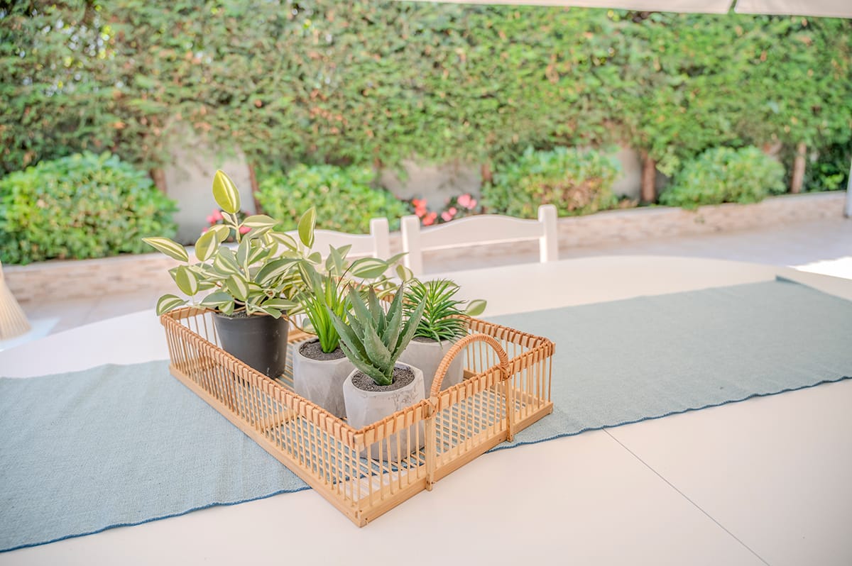 Ground-floor apartment - Complex A