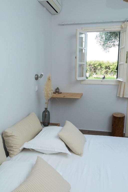 Studio with Garden View