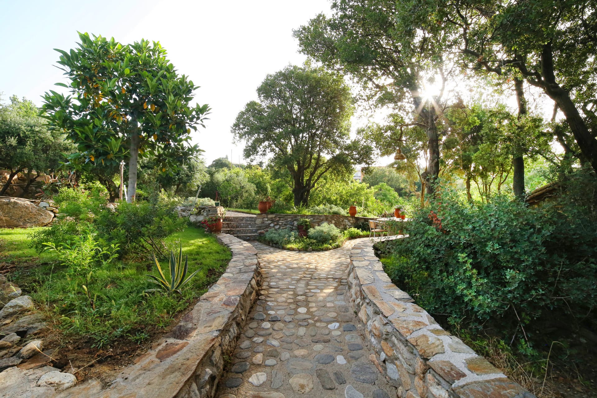 Deluxe Triple Room Ikaros