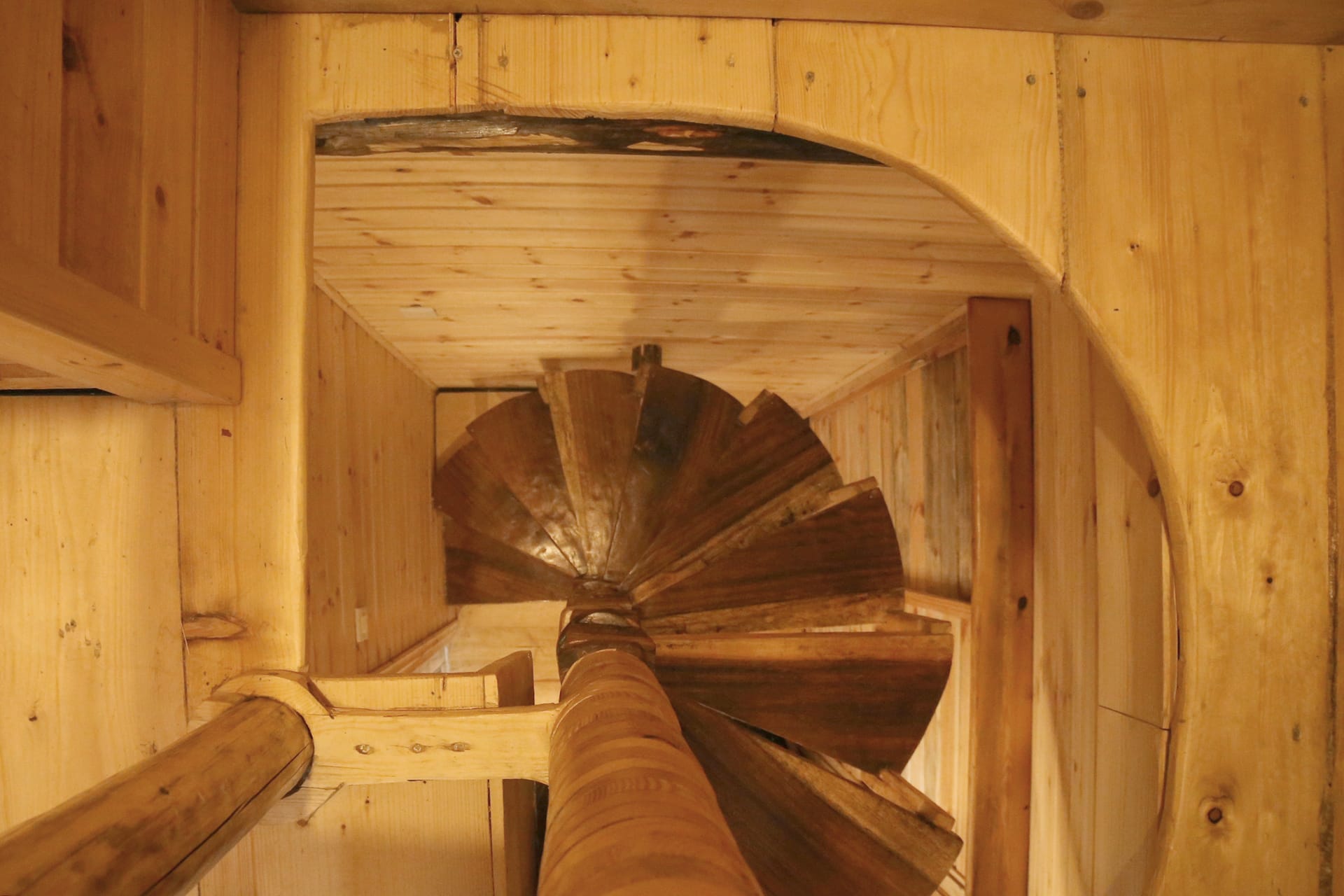 Deluxe Bungalow with Sea View Tree House