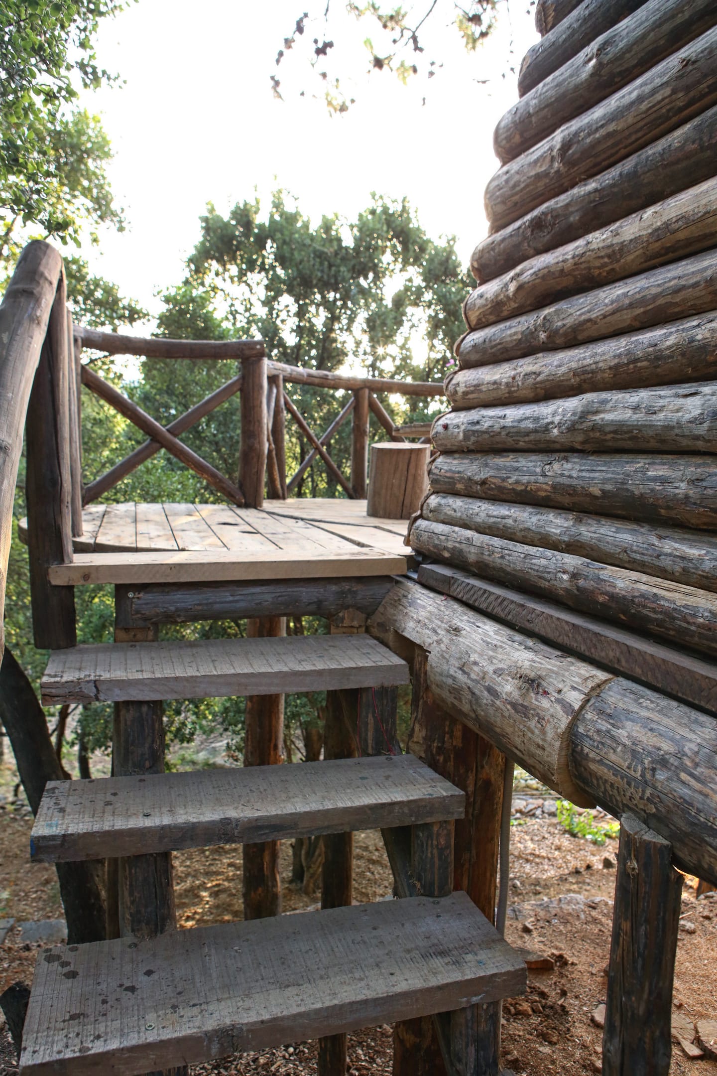 Deluxe Bungalow with Sea View Tree House