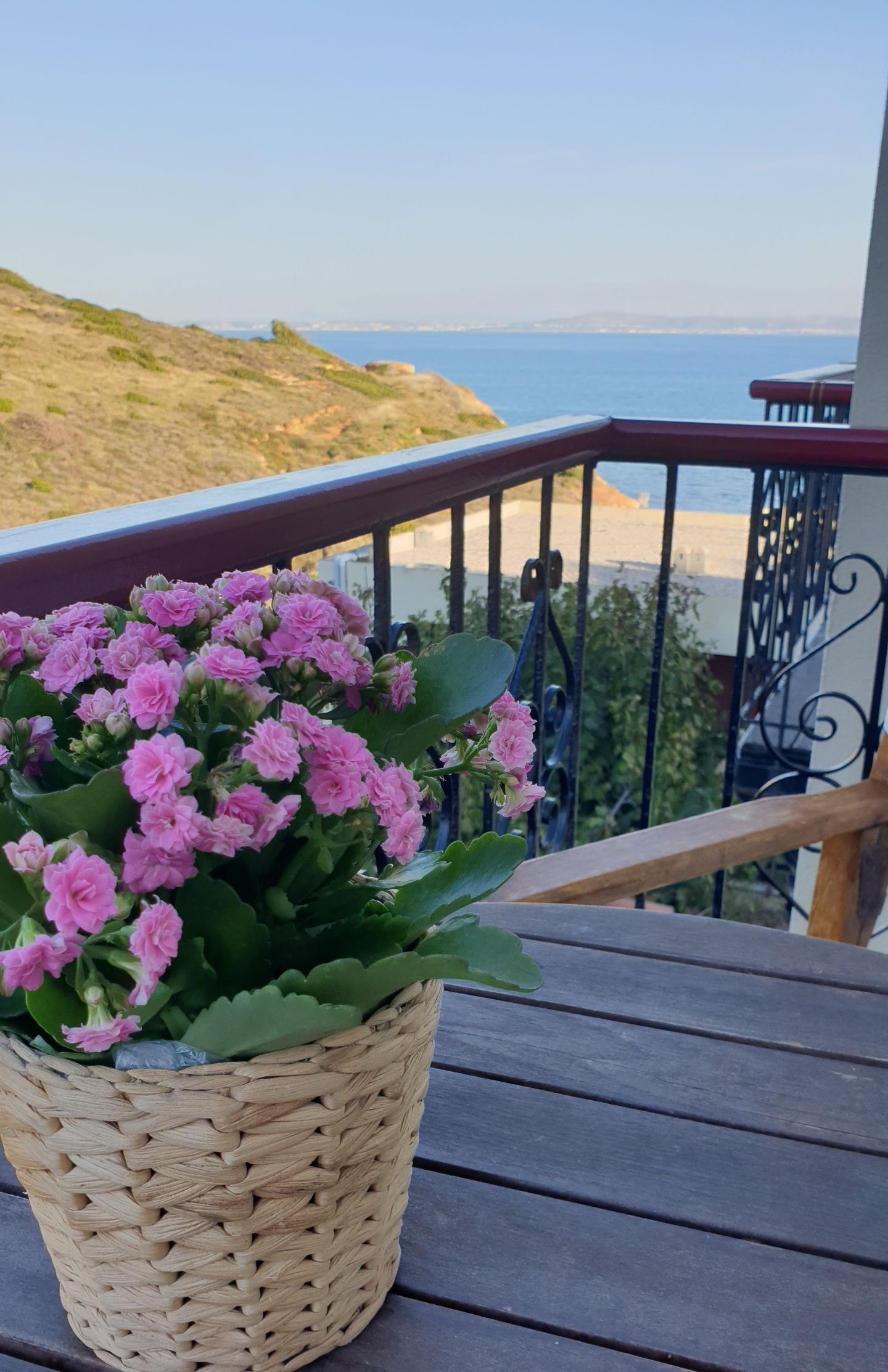 Family Mountain View