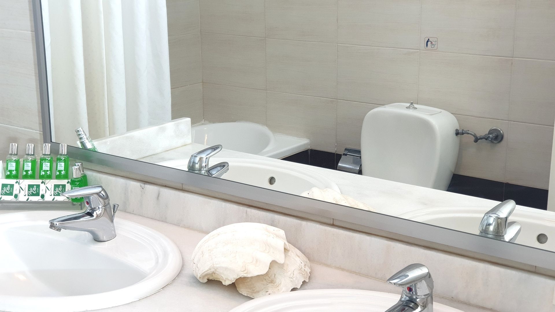 Family Mountain View