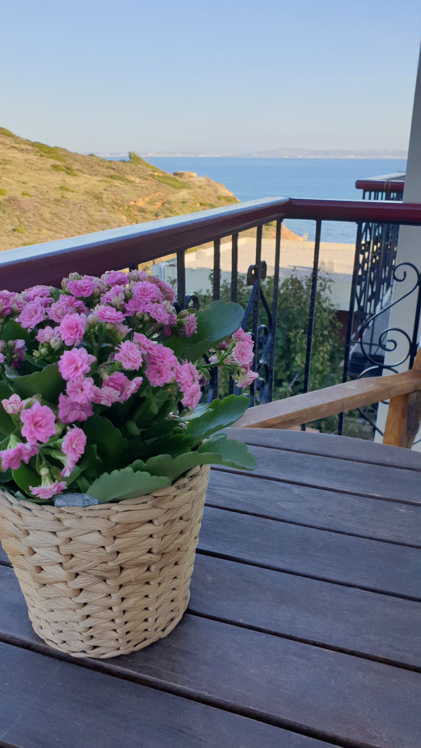 Comfort Double Mountain View