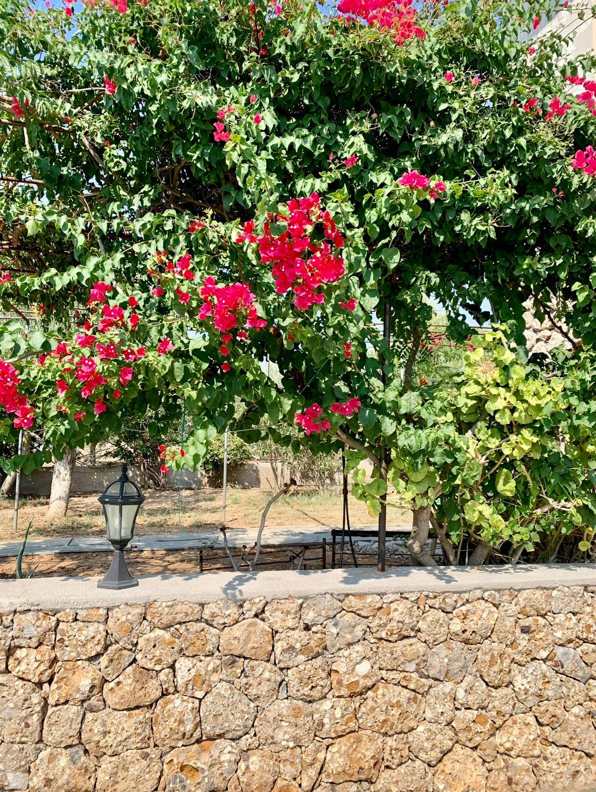 COUNTRY GARDEN HOUSE