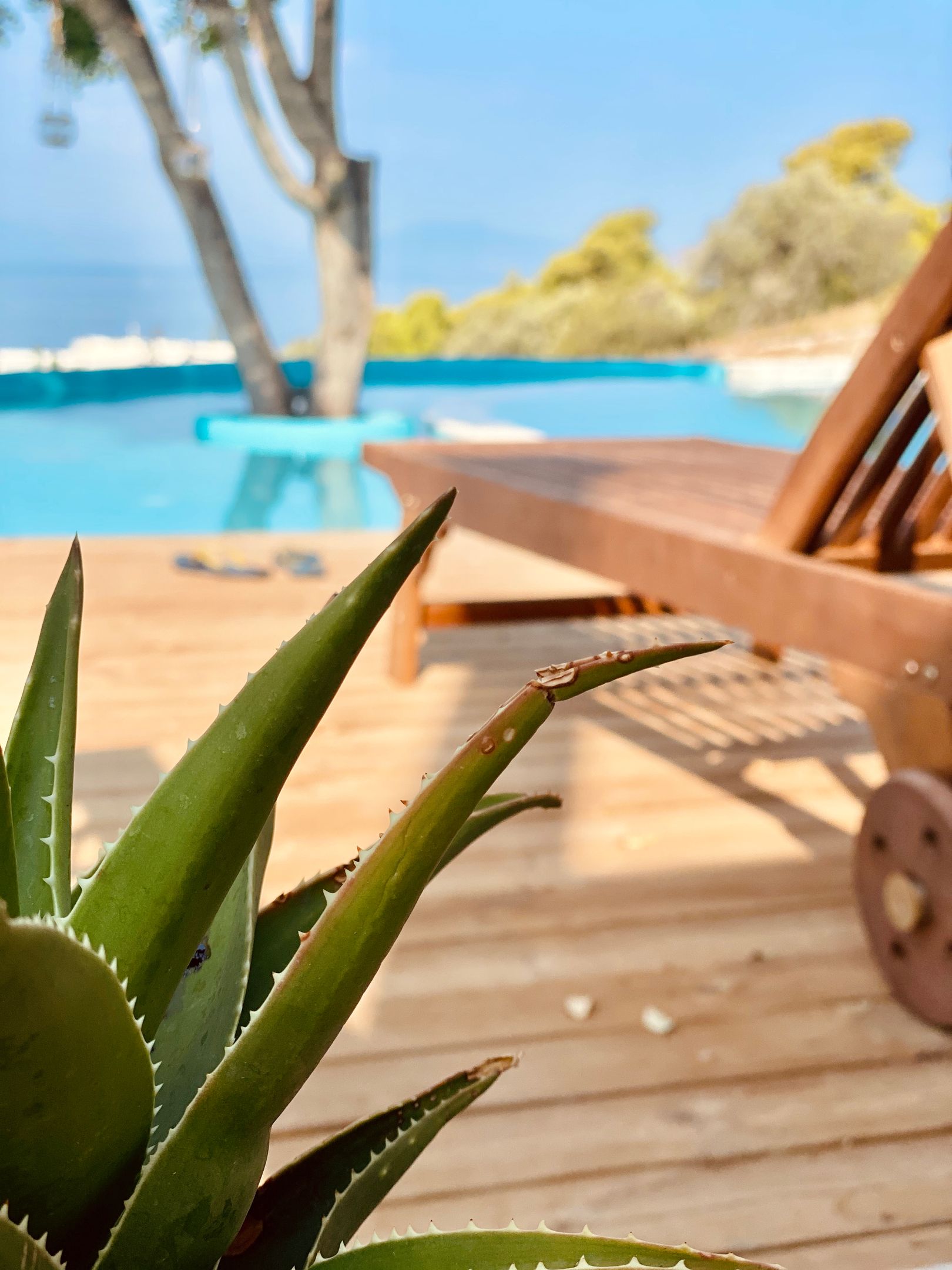 Luxury Villa with Private Pool and Unlimited Sea View