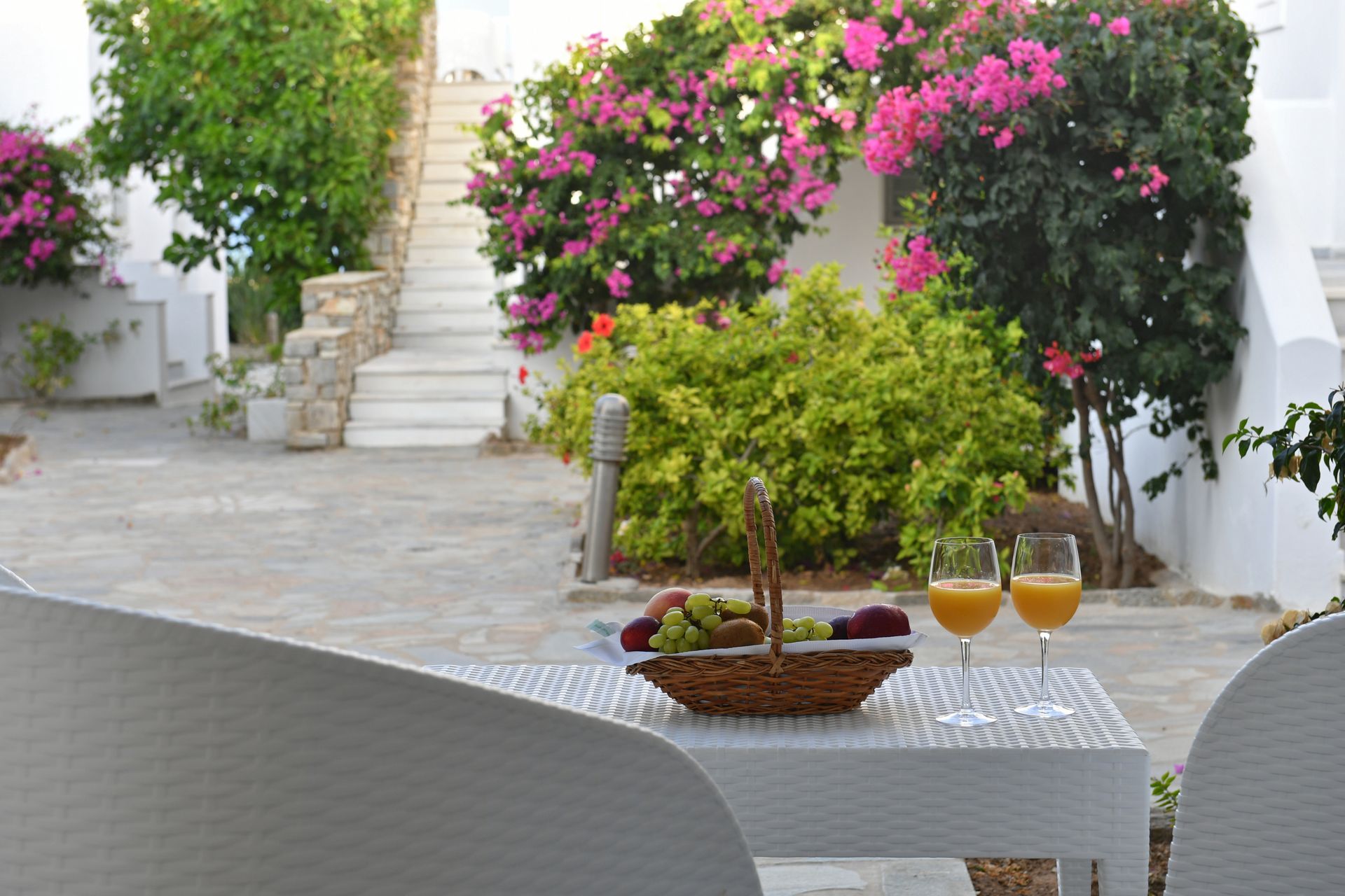 Junior Suite Garden View