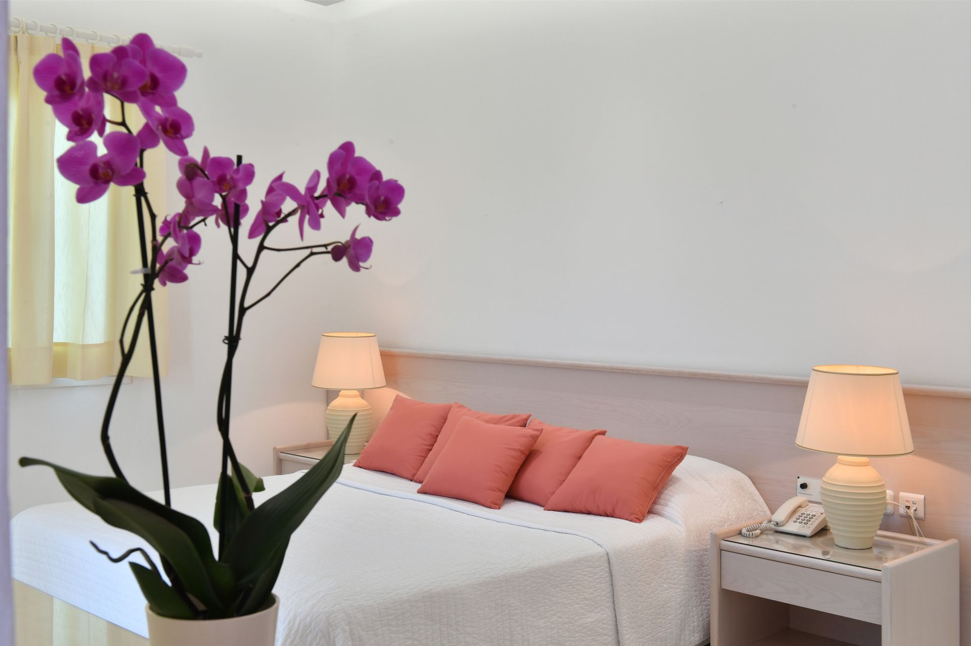 Junior Suite Premium