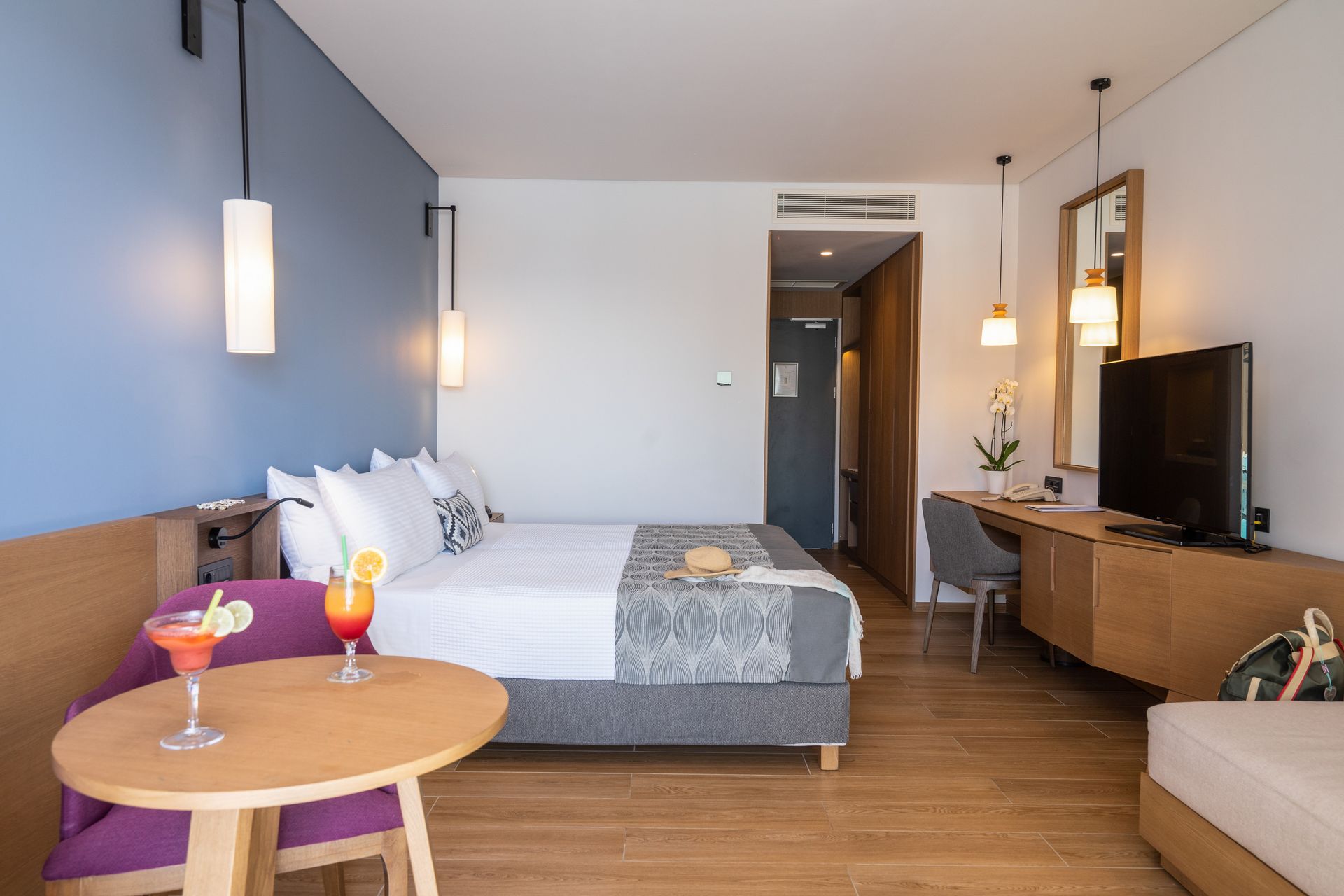 Premium Family Asterias