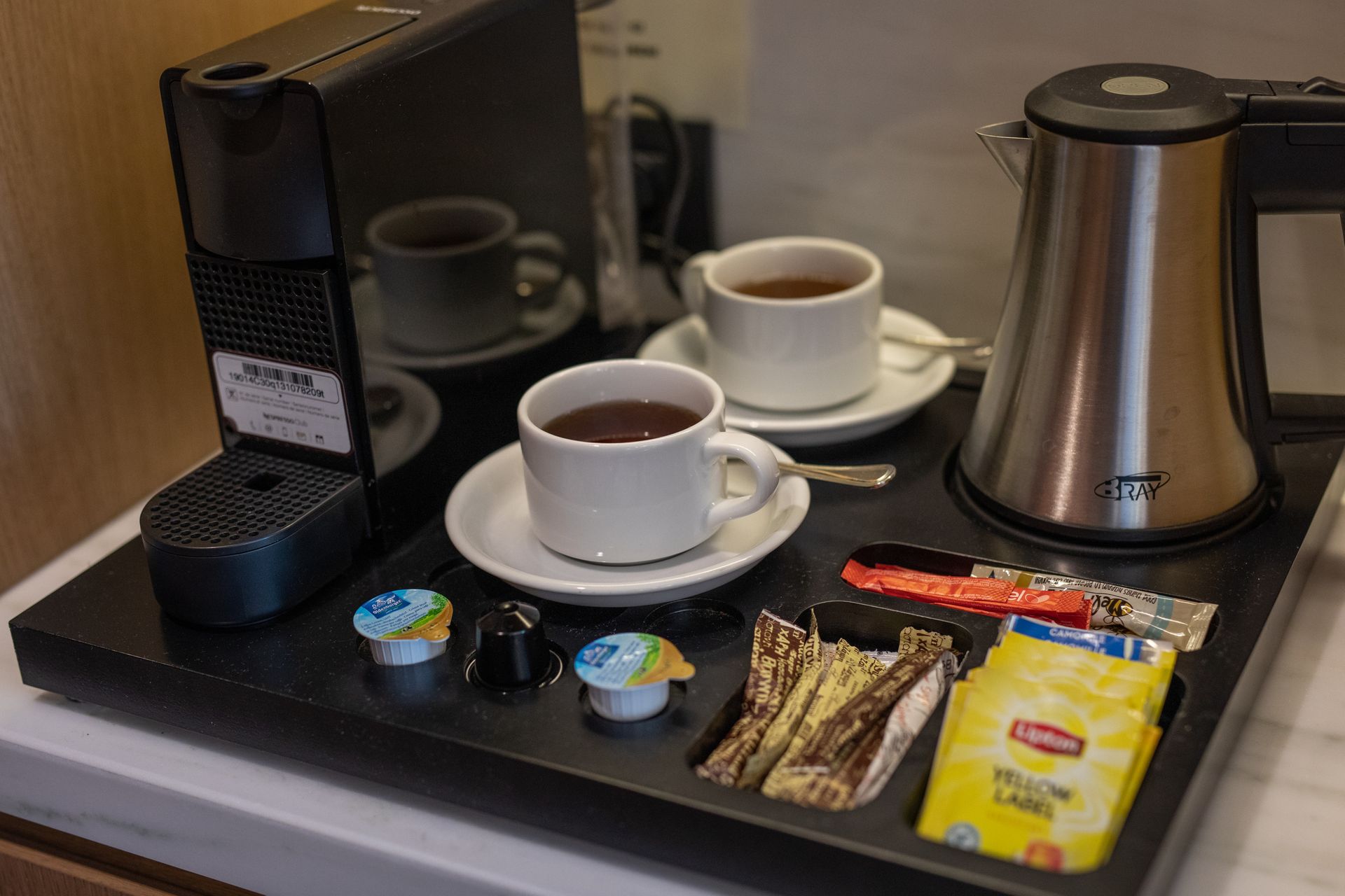 Premium Family Asterias