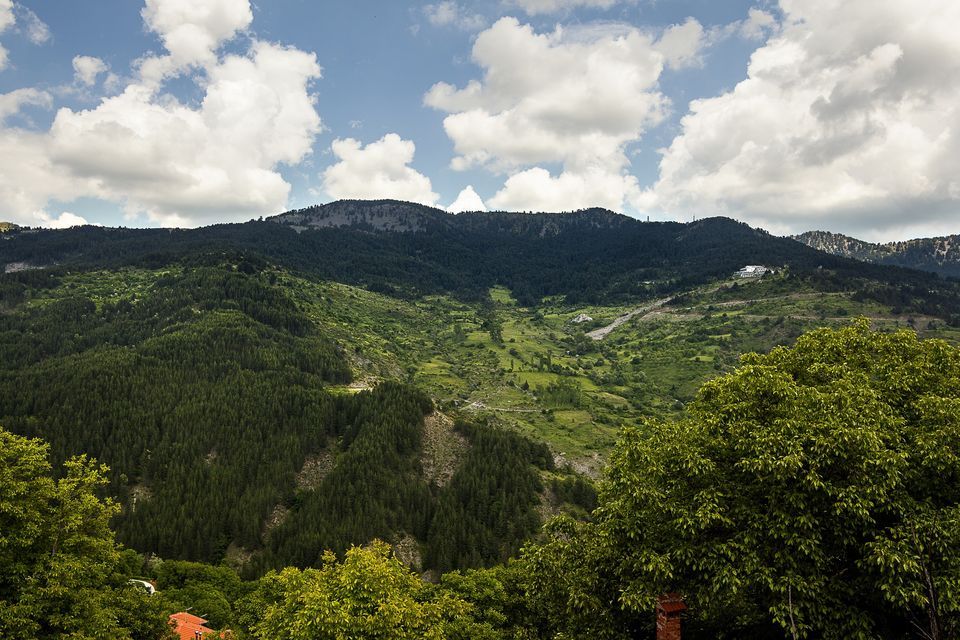 Deluxe family room with fireplace and mountain view ( Walnut | Oak )