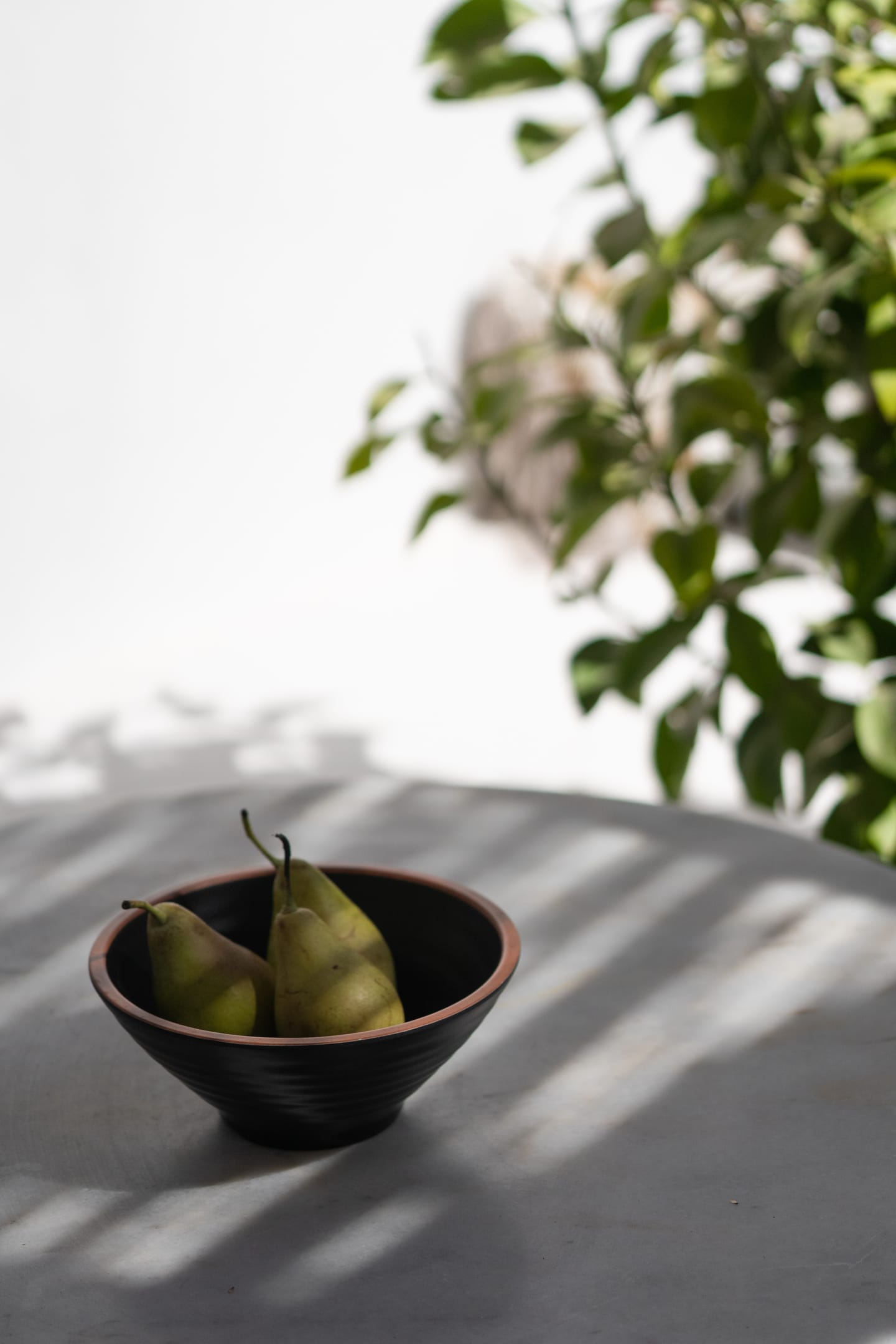Classic Room | Private Garden