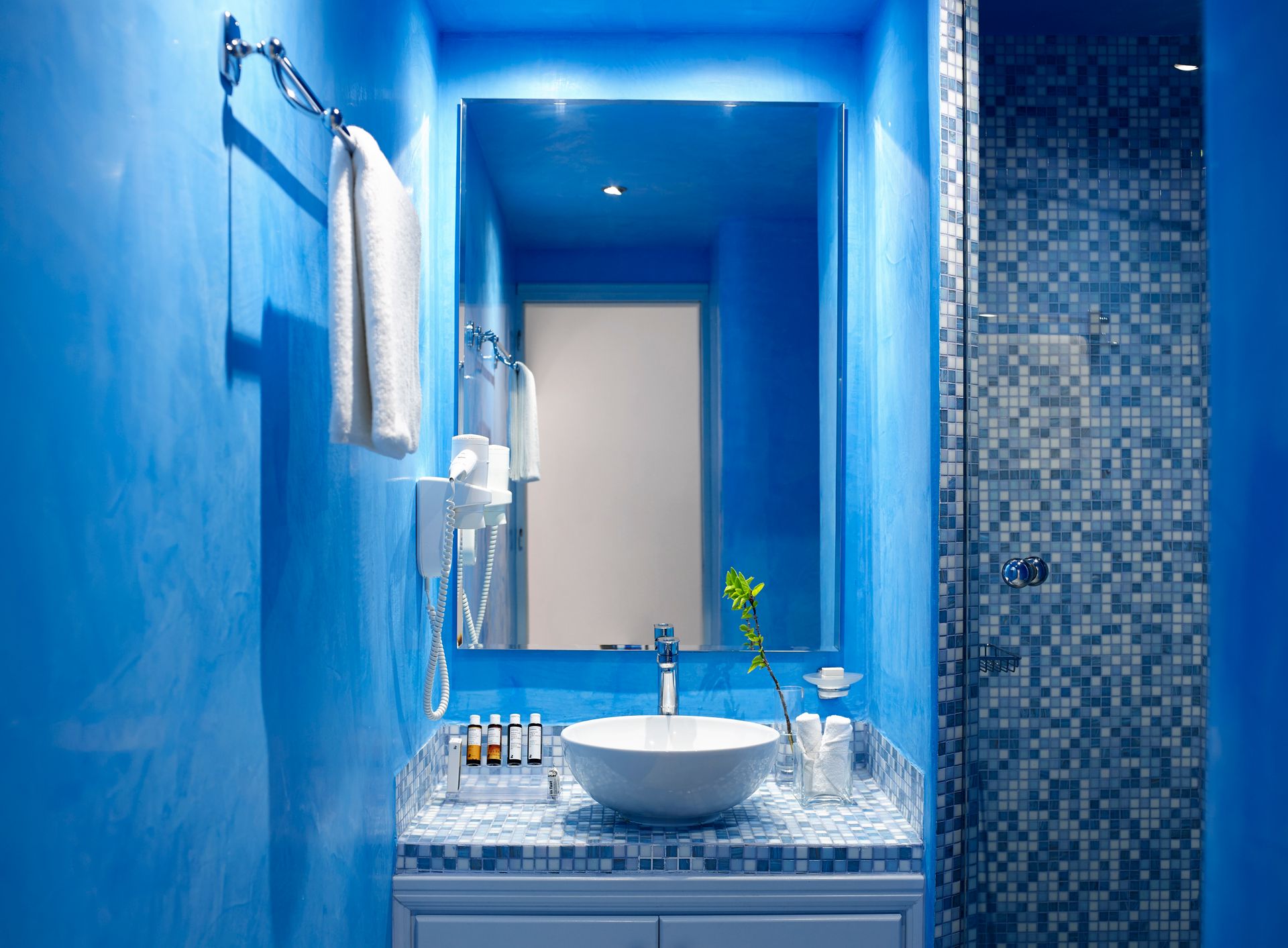 Premium Superior Room