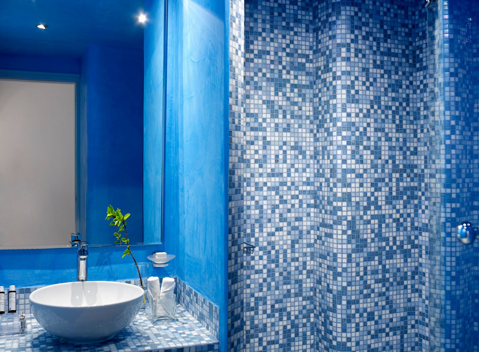 Premium Superior Room