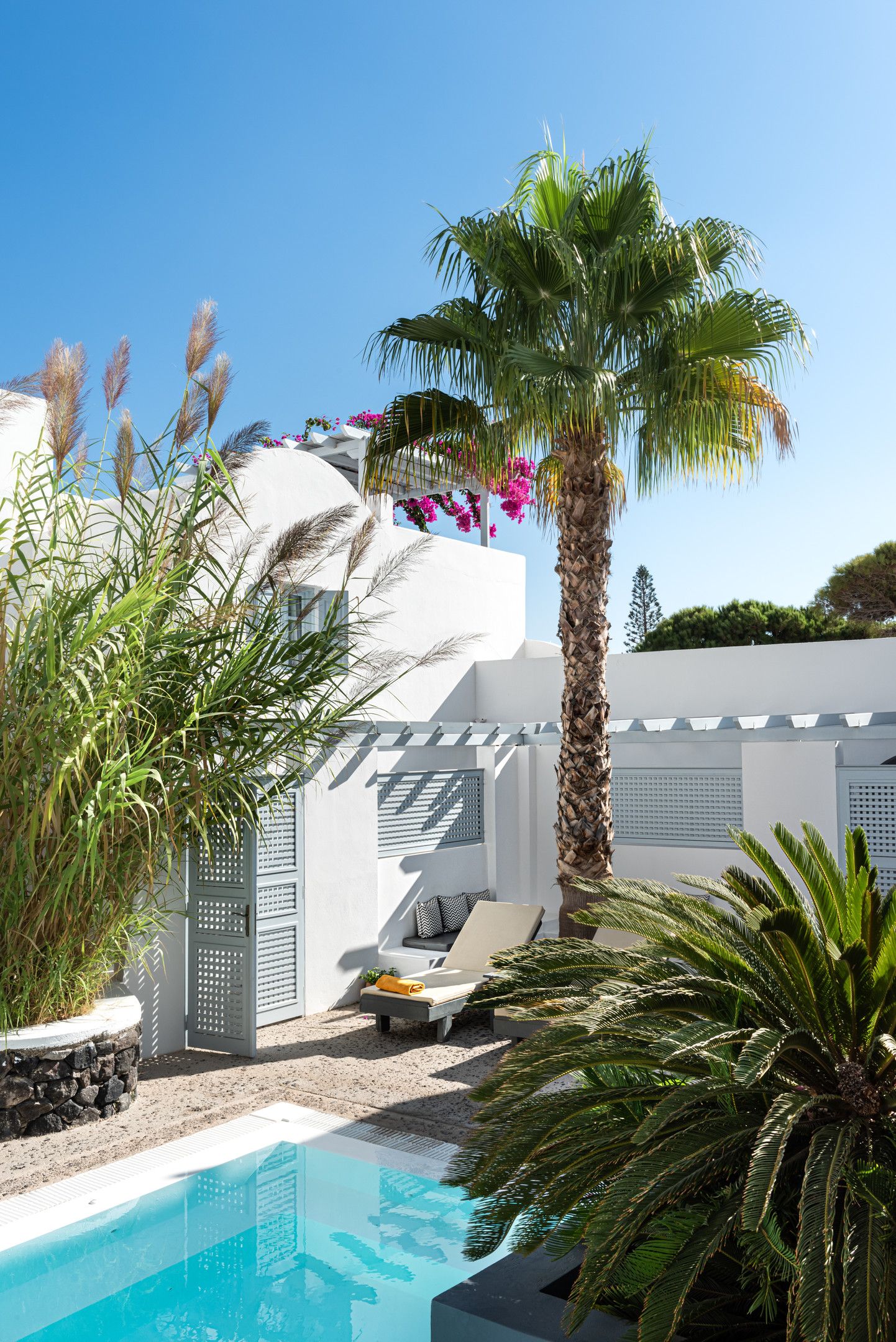 Executive Junior Suite