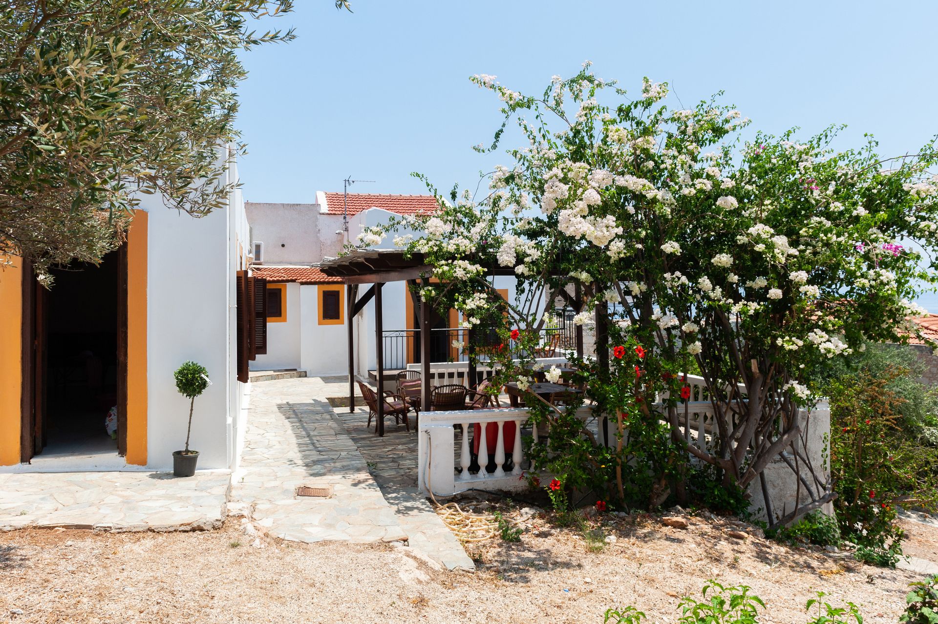 Kiki Studio