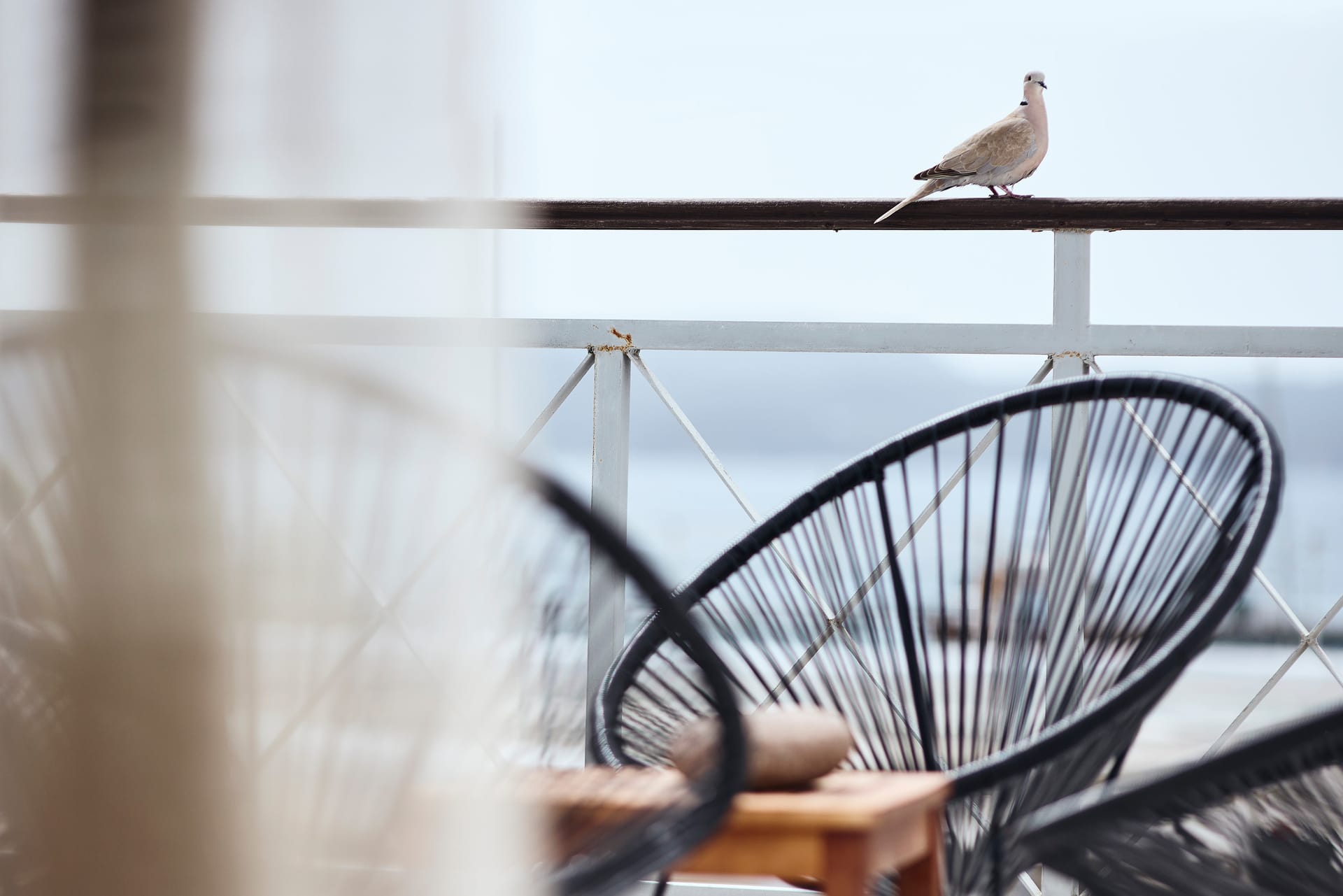 Superior Triple Room with Sea View