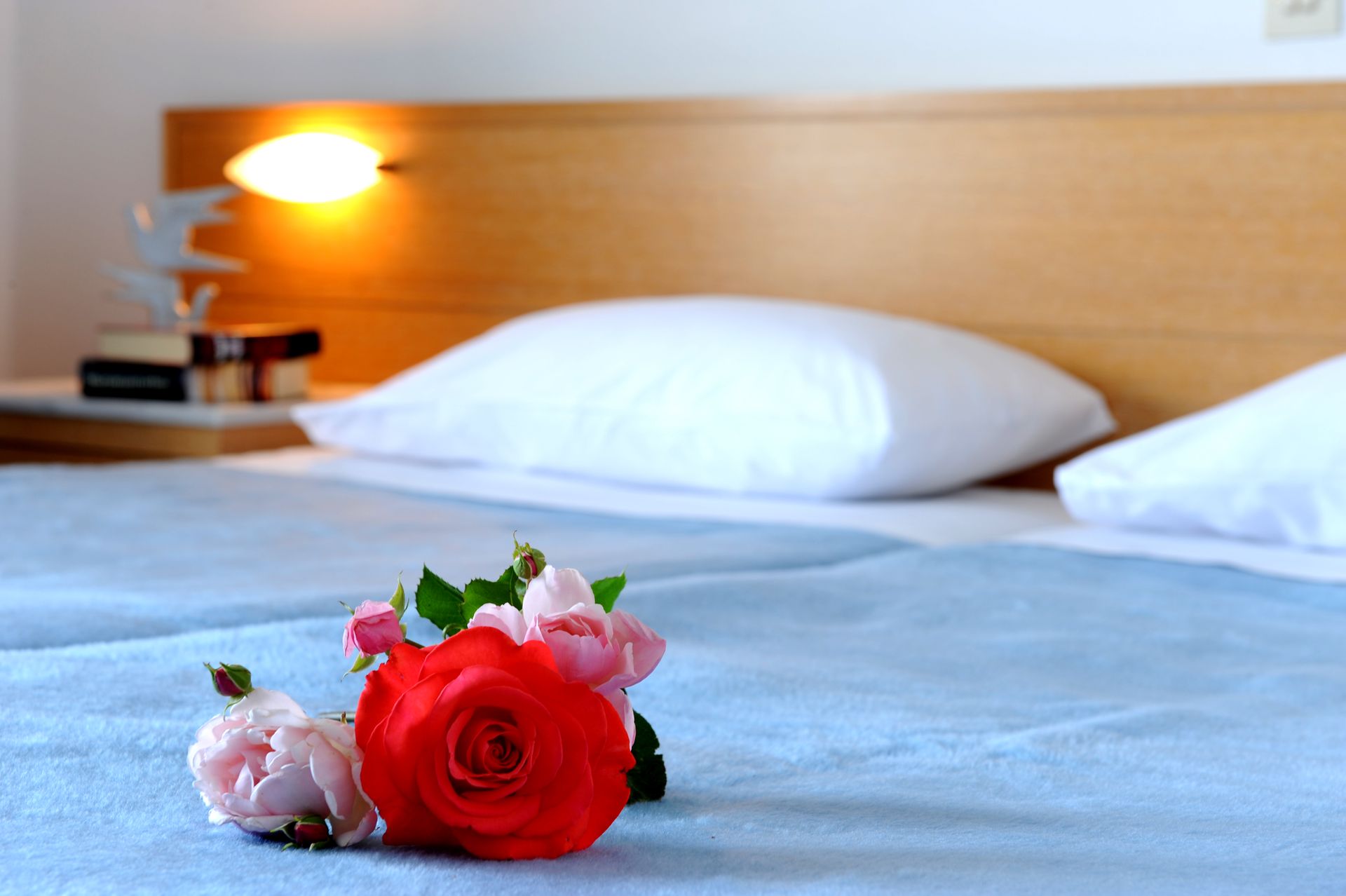 Classic Room with Garden View