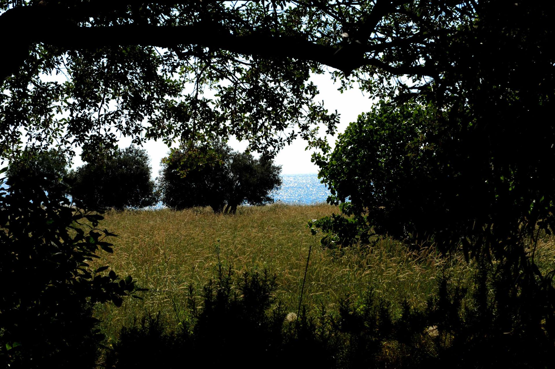 Classic Room with Sea View