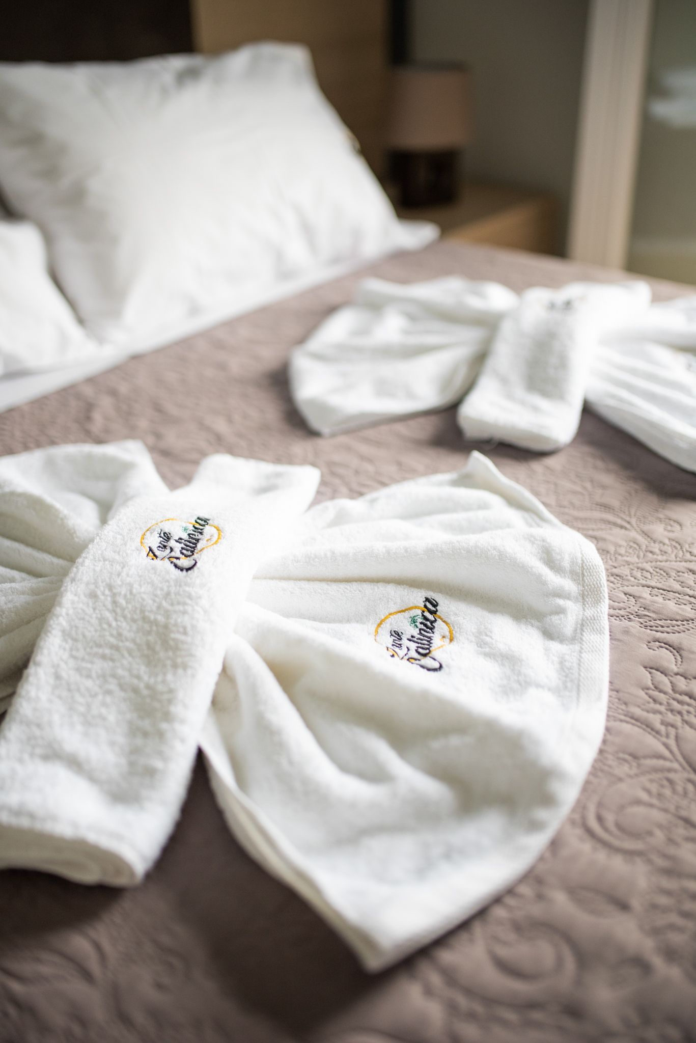 Superior Double with Private Pool