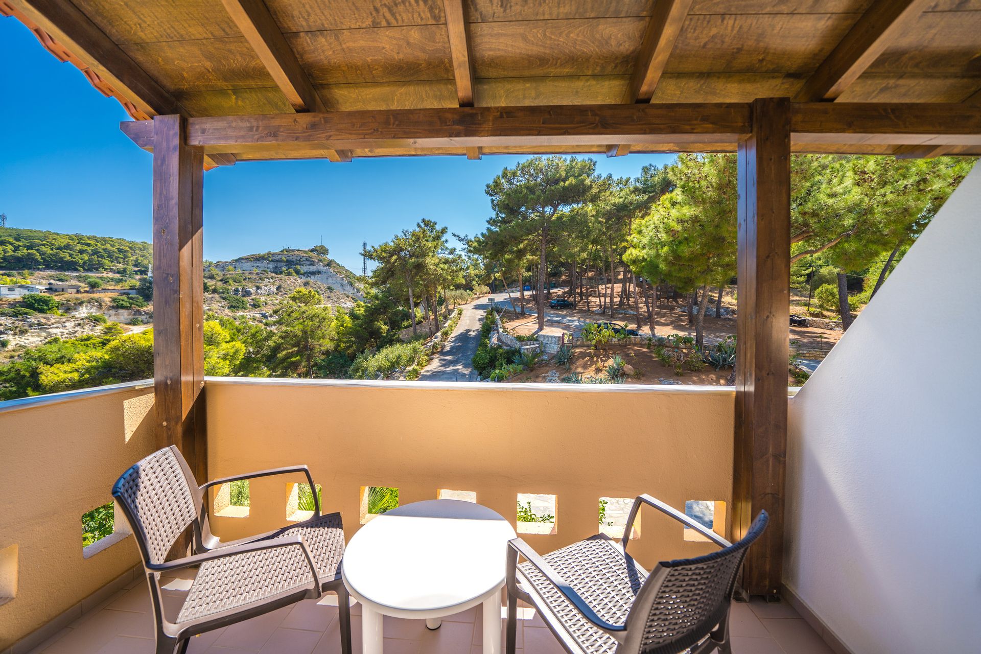 Standard Room with Mountain View