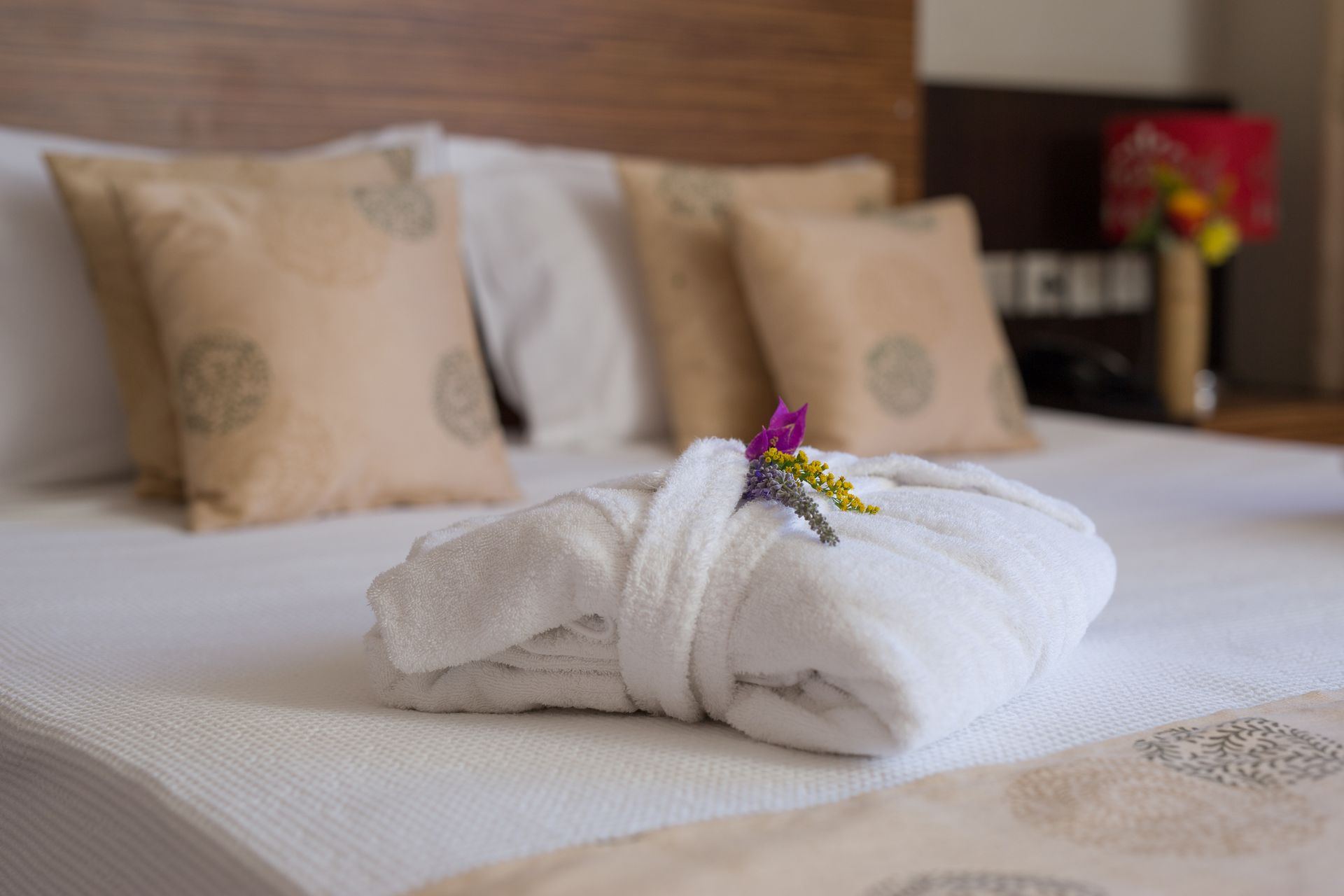 Superior Family Room