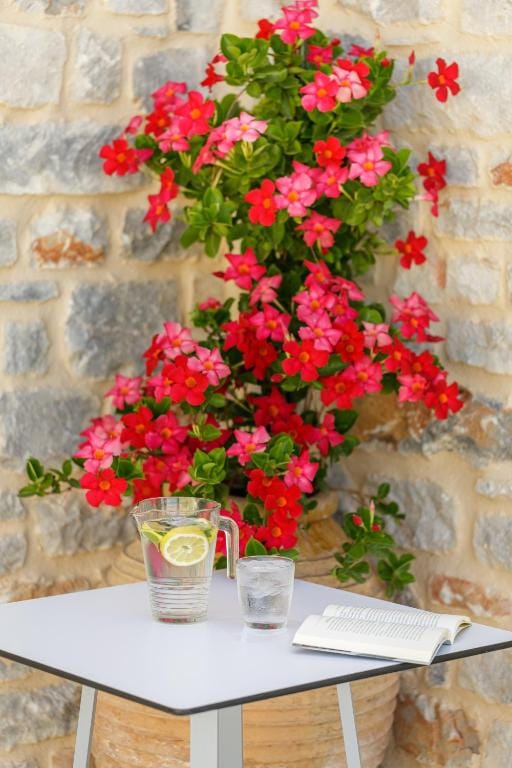 Junior Suite with Garden View