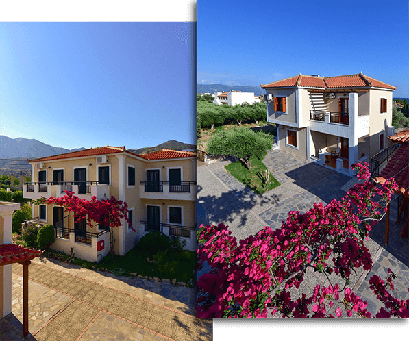 Special Offer Apartment