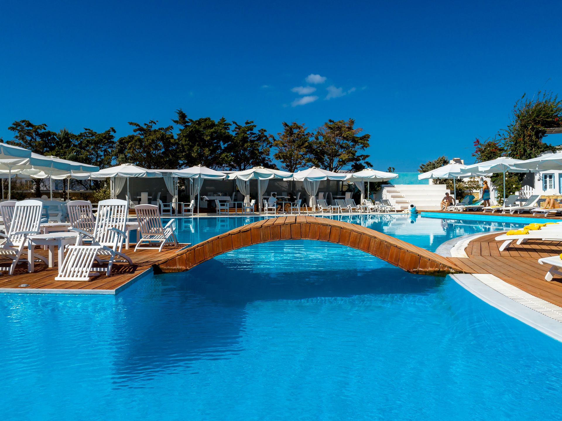 Superior Double Room with Pool View  [1-2 persons]