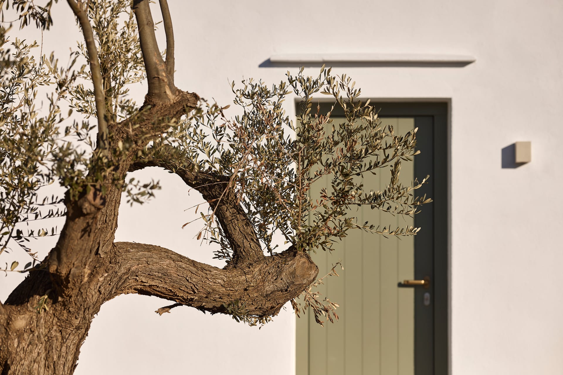 Superior Suite with Sea View &amp; Hot-tub (70m from main building)