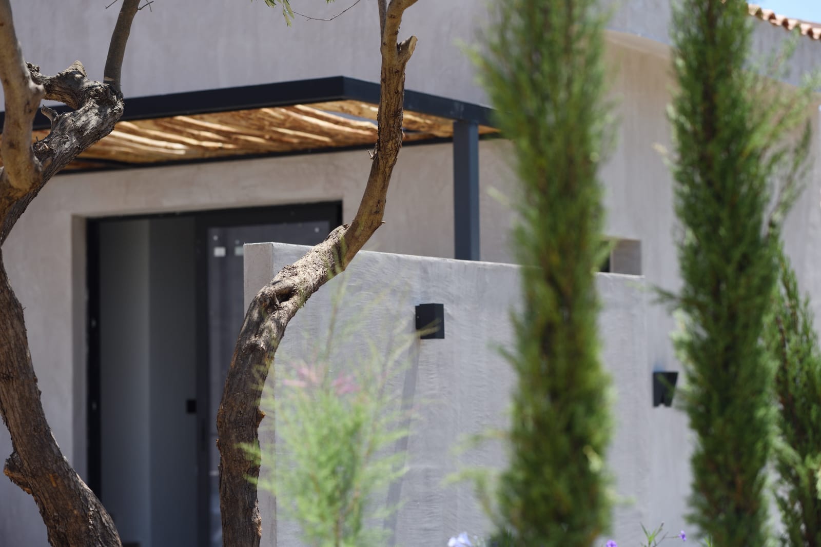 Junior Suite with Terrace